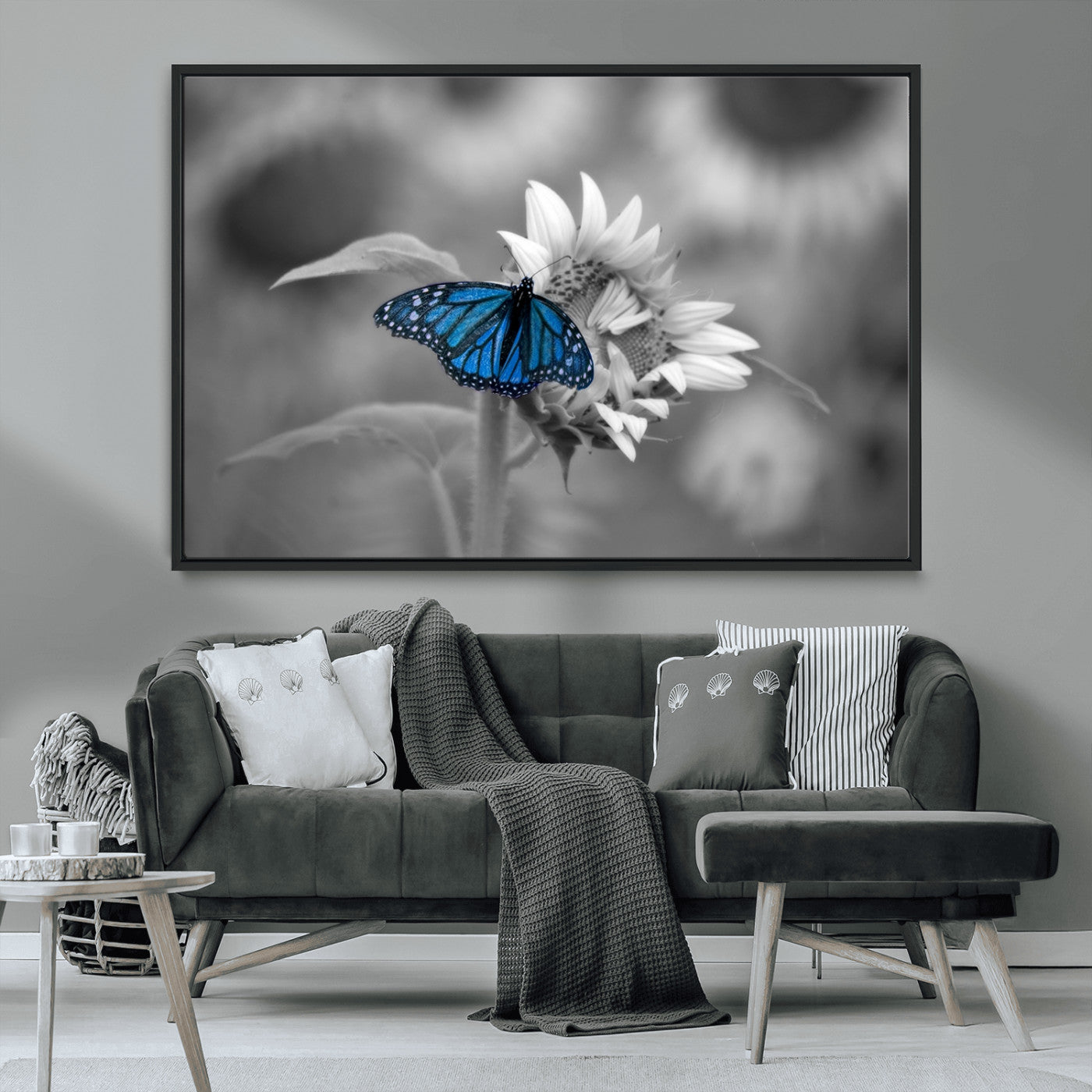 MGV-FC-36X24 - Blue Butterfly Black and White Canvas Wall Art
