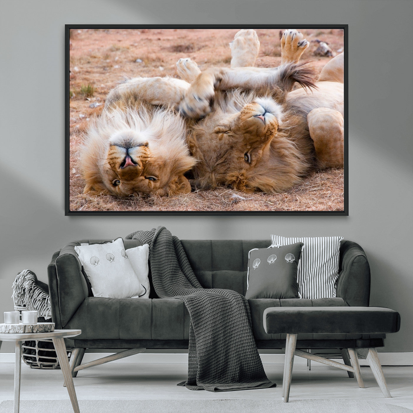 MGV-FC-36X24 - Animal Wall Art Lion Canvas Print