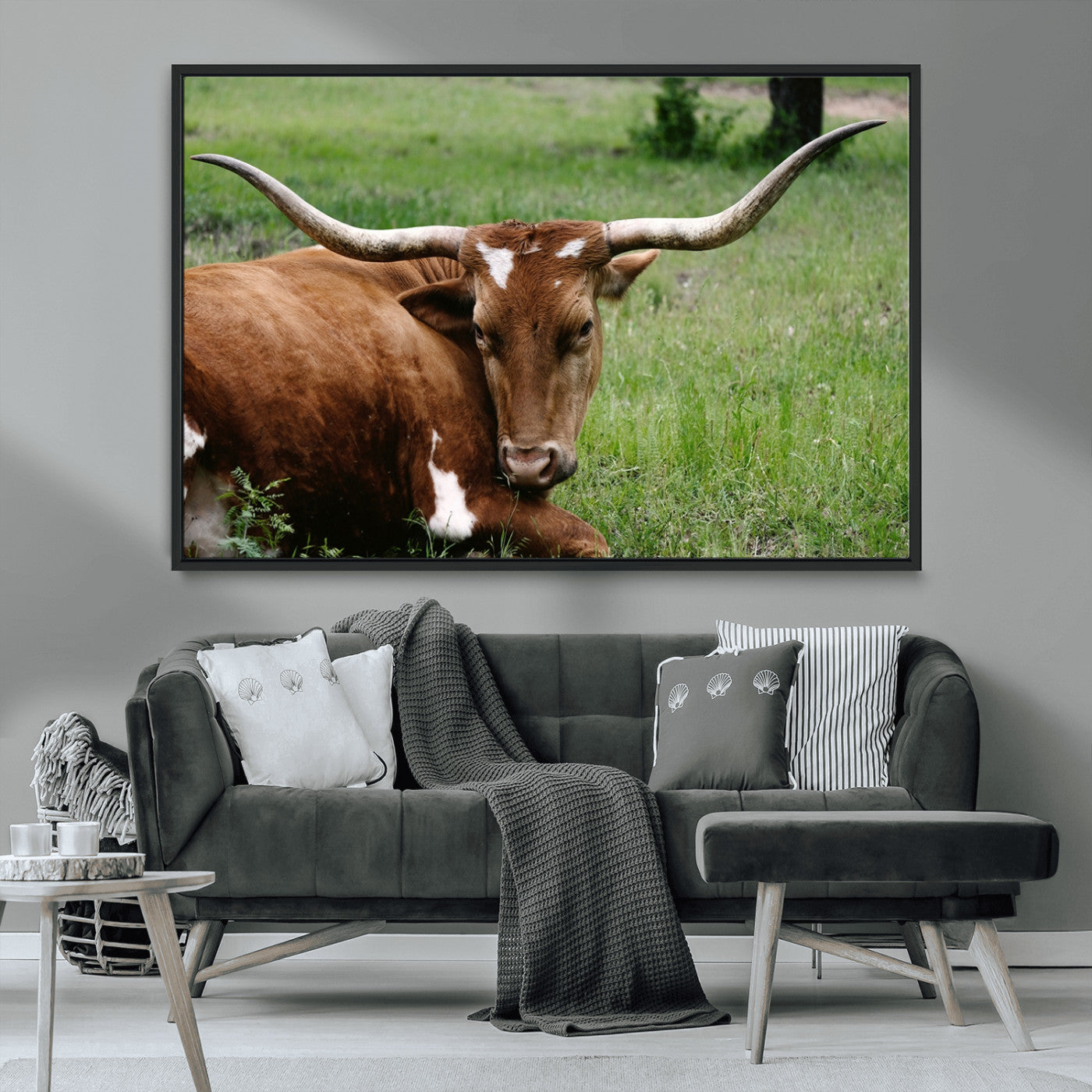MGV-FC-36X24 - Longhorn Cow Animal Wall Art Canvas Print