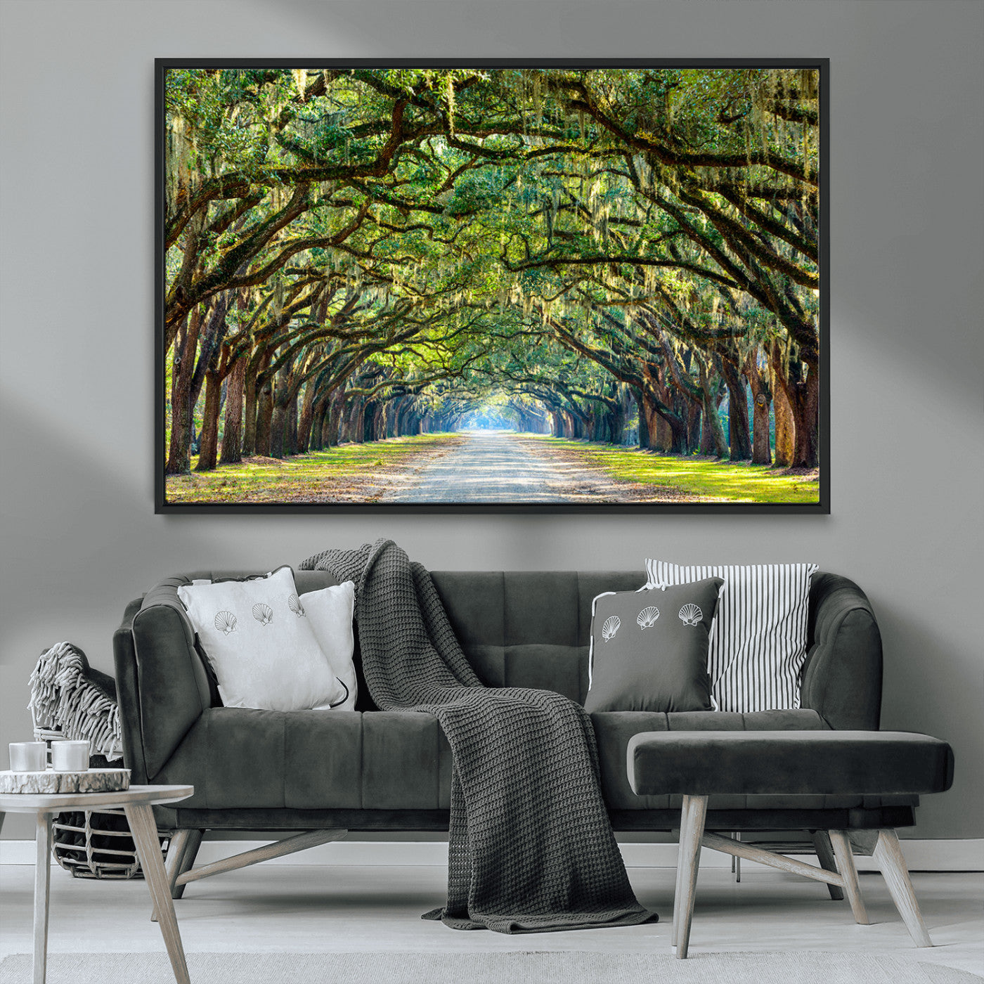 MGV-FC-36X24 - Wormsloe State Plantation Driveway Wall Art Canvas Print