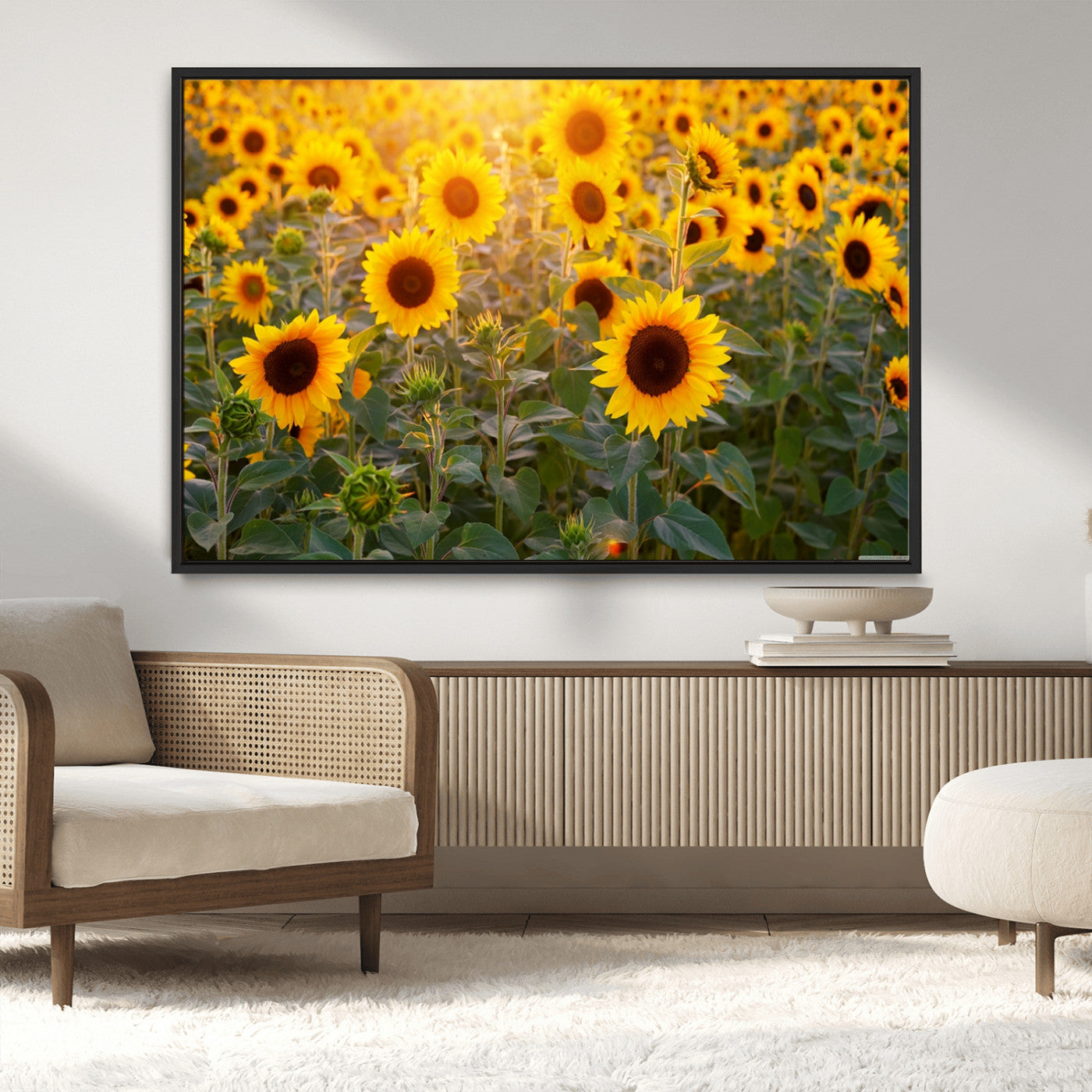 MGV-FC-36X24 - Sunflower Sunshine Wall Art Canvas Print
