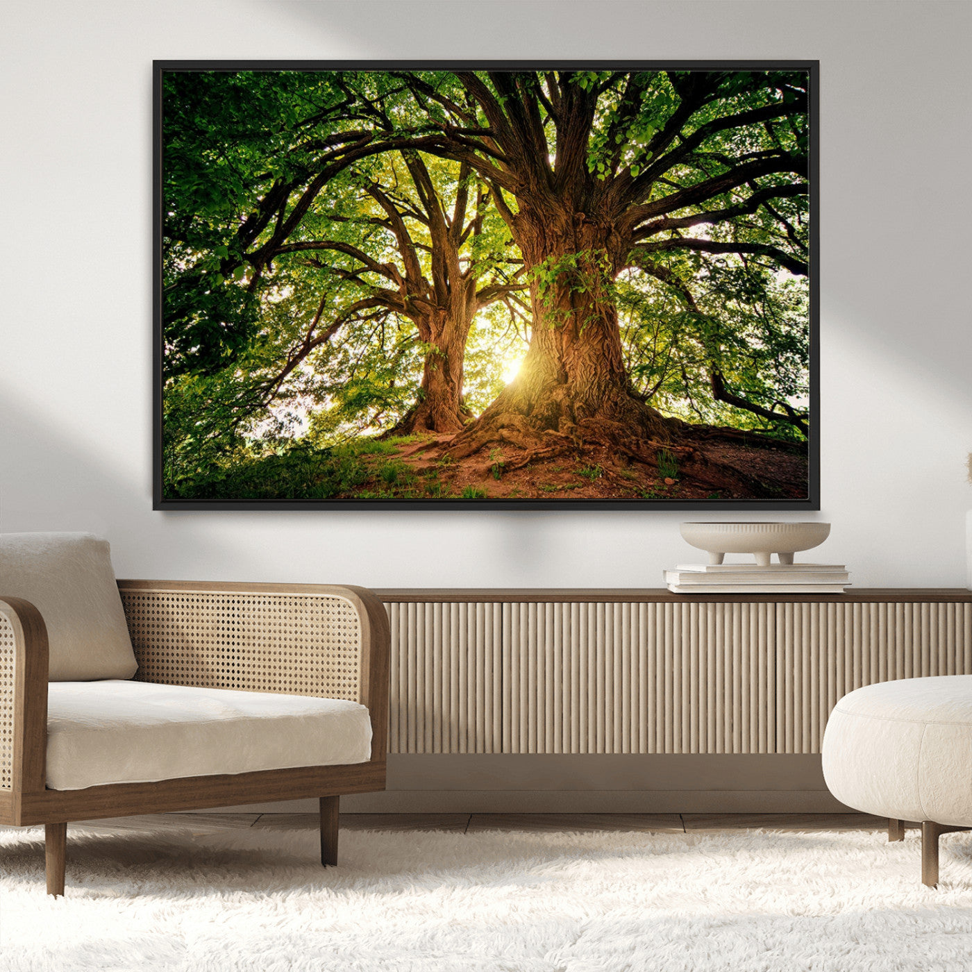 MGV-FC-36X24 - Majestic Ancient Tree Wall Art, Nature-Inspired Canvas Print, Woodland Art, Tree of Life Artwork, Sunlit Forest, Giclee Nature Print