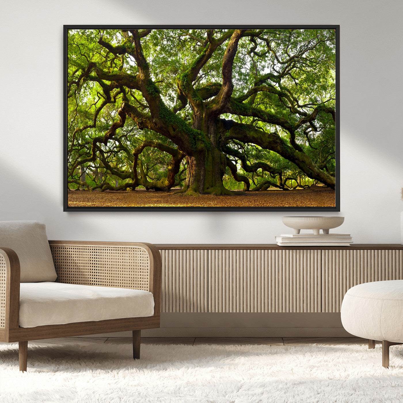 MGV-FC-36X24 - Angel Oak Tree Wall Art Canvas Print | Forest Tree Nature Photography Print on Canvas | Large Triptych Art for Living Room or Office Decor