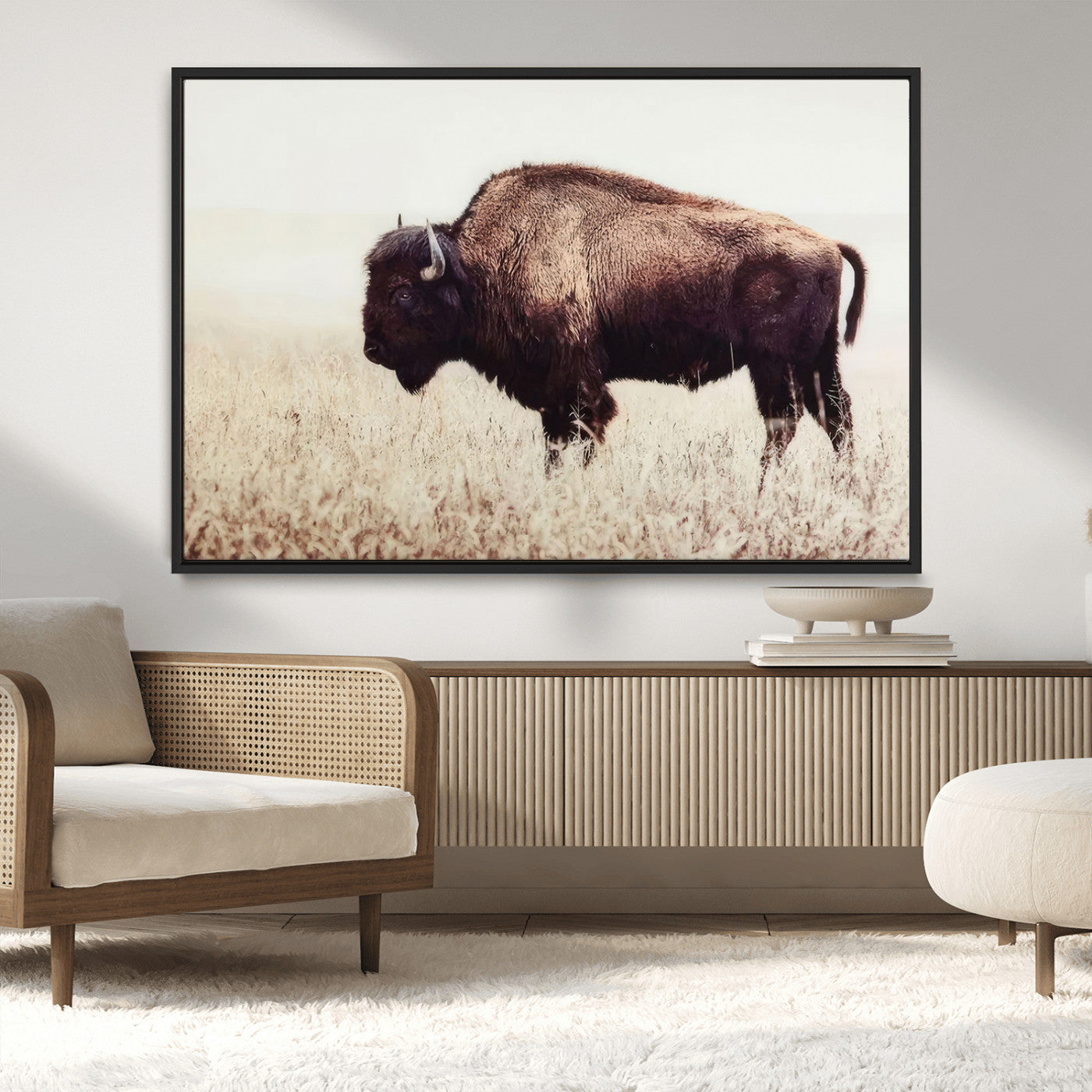MGV-FC-36X24 - Bison in Field Wall Art Canvas Print For Farmhouse Barn Decor