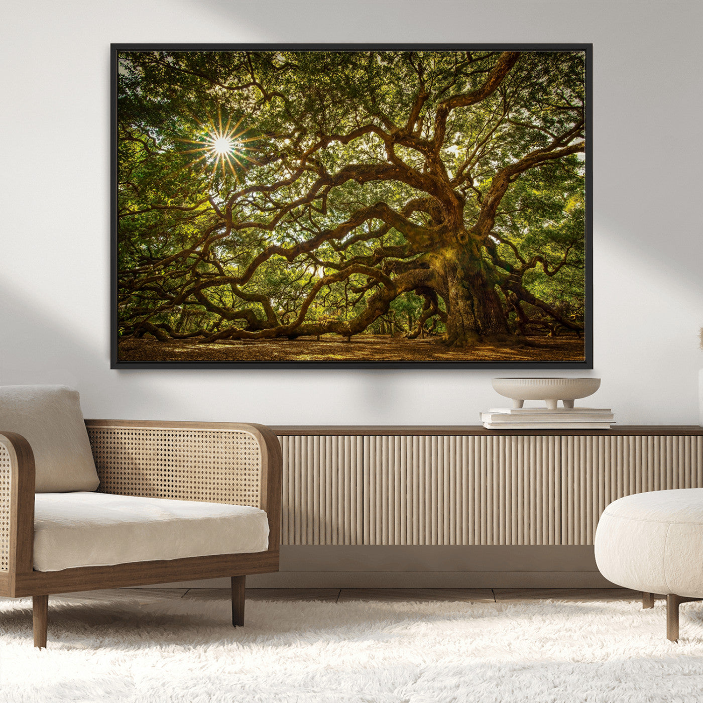 MGV-FC-36X24 - Ancient Angel Oak Tree Art Sunburst Canvas Print- Nature-Inspired Triptych Canvas Print, Framed, Ready to Hang