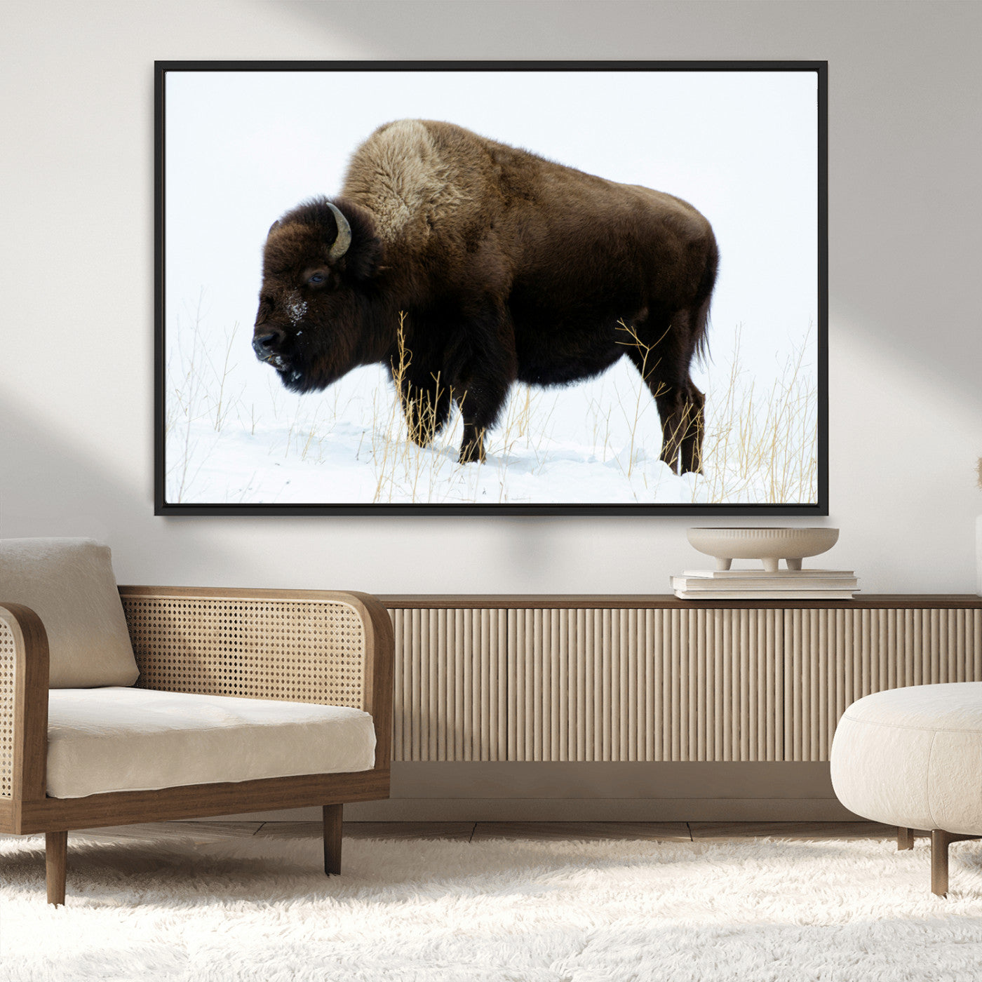 MGV-FC-36X24 - Bison Photography Wall Art Canvas Print, Framed Western Wildlife Art Picture Print, Buffalo On Snow Perfect Western Decor Artwork