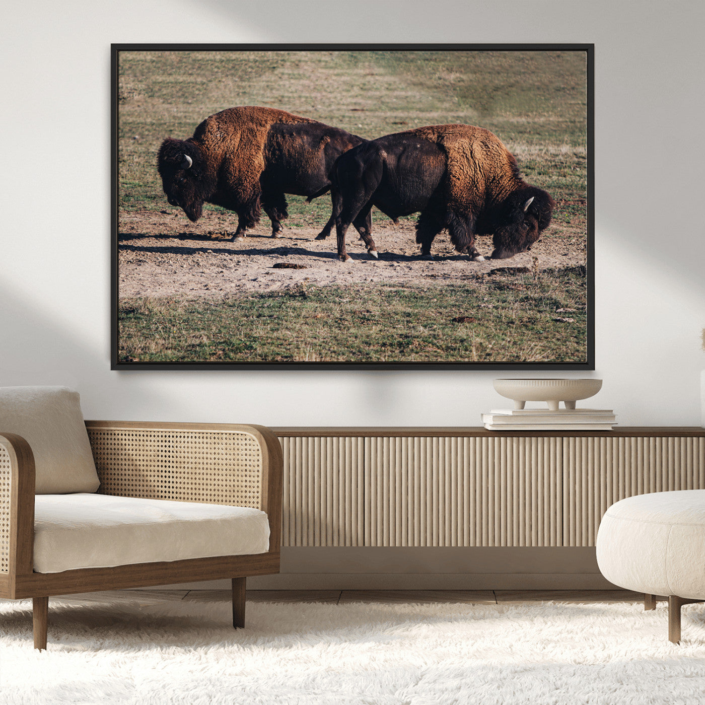 MGV-FC-36X24 - Bison Photography Wall Art Canvas Print, Framed Western Wildlife Art Picture Print, Modern Ranch Perfect Western Rustic Decor Artwork