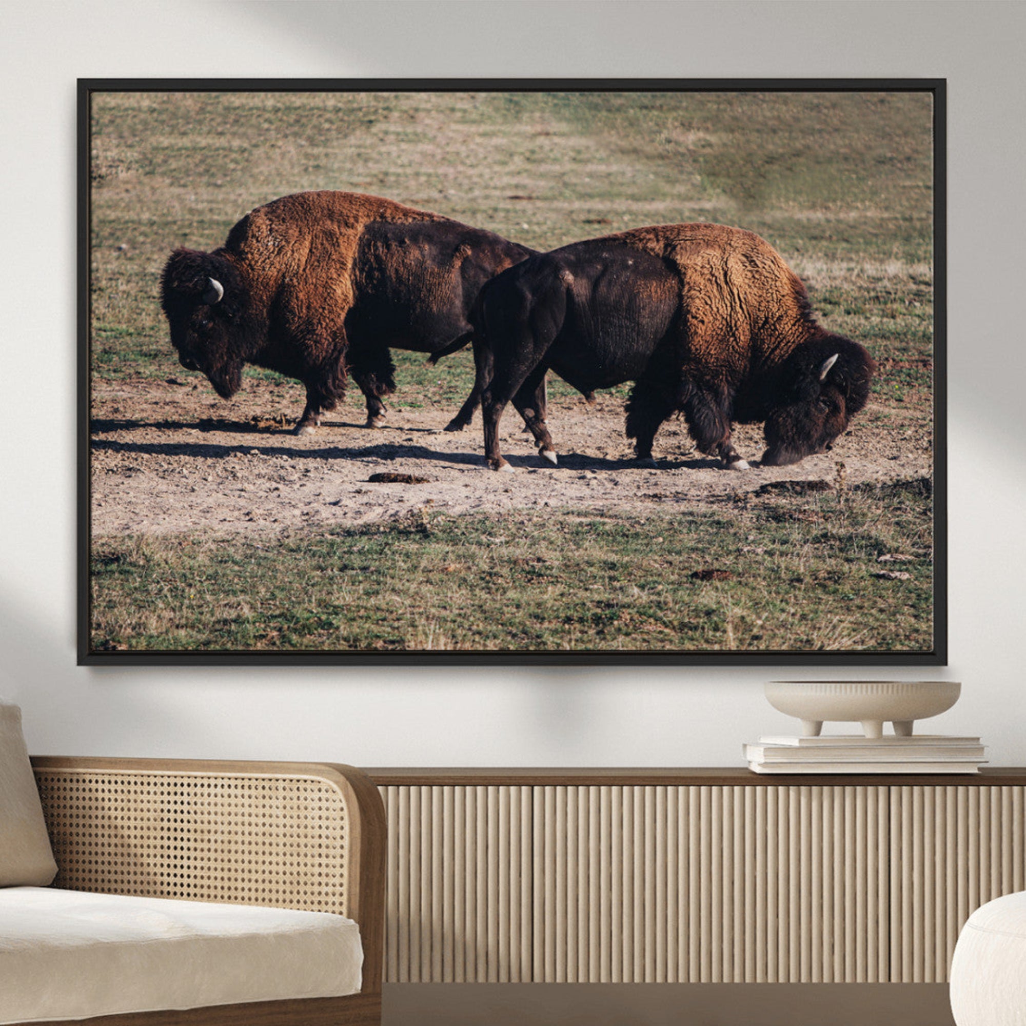 -Bison Wall Art Canvas Print – Framed Western Wildlife Modern Ranch Rustic Nature Scene Artwork for Home Office