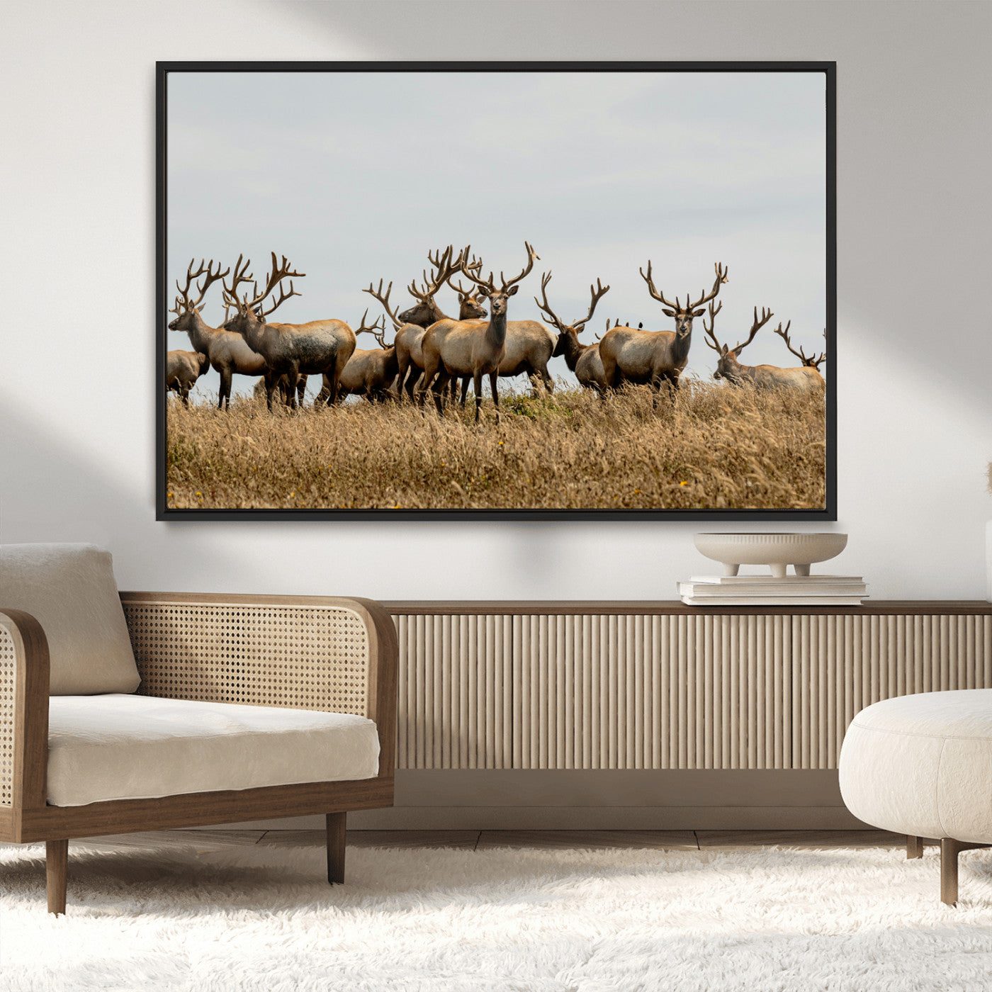 MGV-FC-36X24 - Elk Herd Wall Art Canvas Print, Framed Wildlife Photography Art Picture Print, Majestic Antlers Perfect Rustic Wildlife Decor Artwork