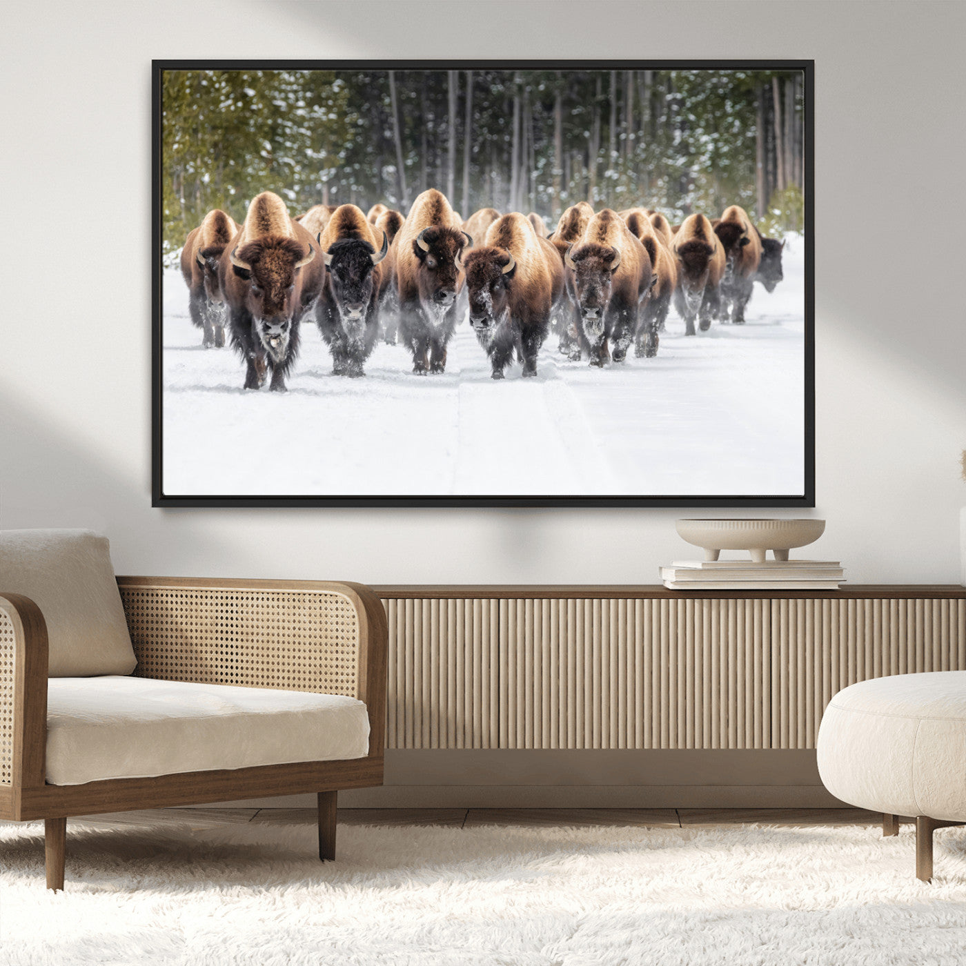 MGV-FC-36X24 - American Bison Herd in Snow Wall Art Canvas Print – Powerful Winter Wildlife Scene with Buffalo in