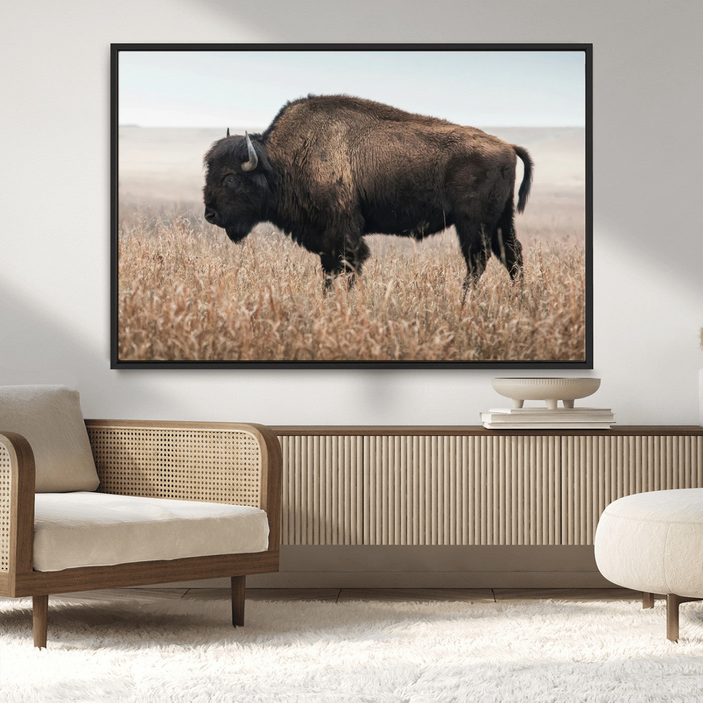 MGV-FC-36X24 - American Bison in Field  Wall Art Canvas Print – Powerful Winter Wildlife Scene with Buffalo in