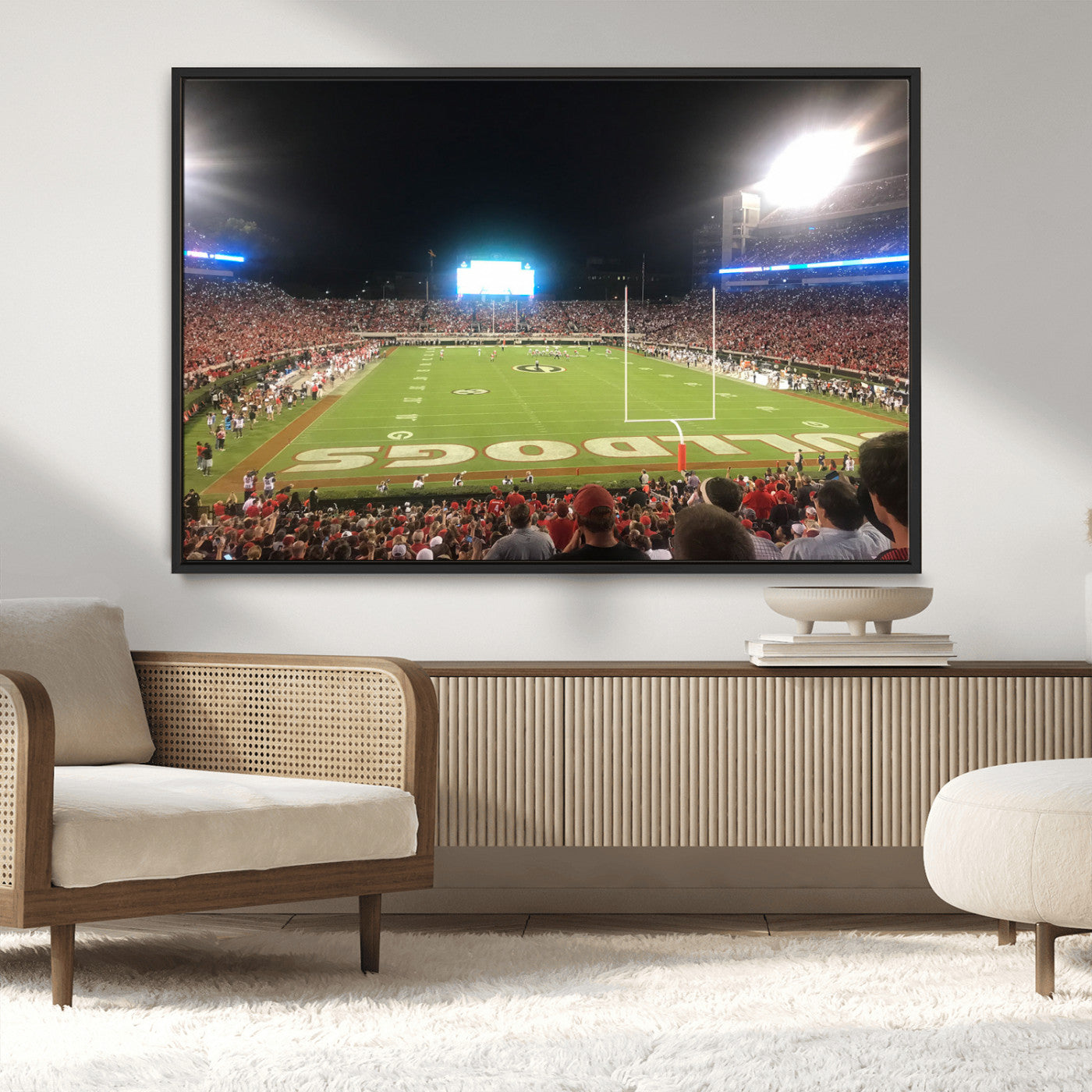 Dooley Stadium Wall Art Print, Sports Arena Canvas Wall Art, Panoramic Stadium Canvas Print, Modern Athletic Field Art Printing