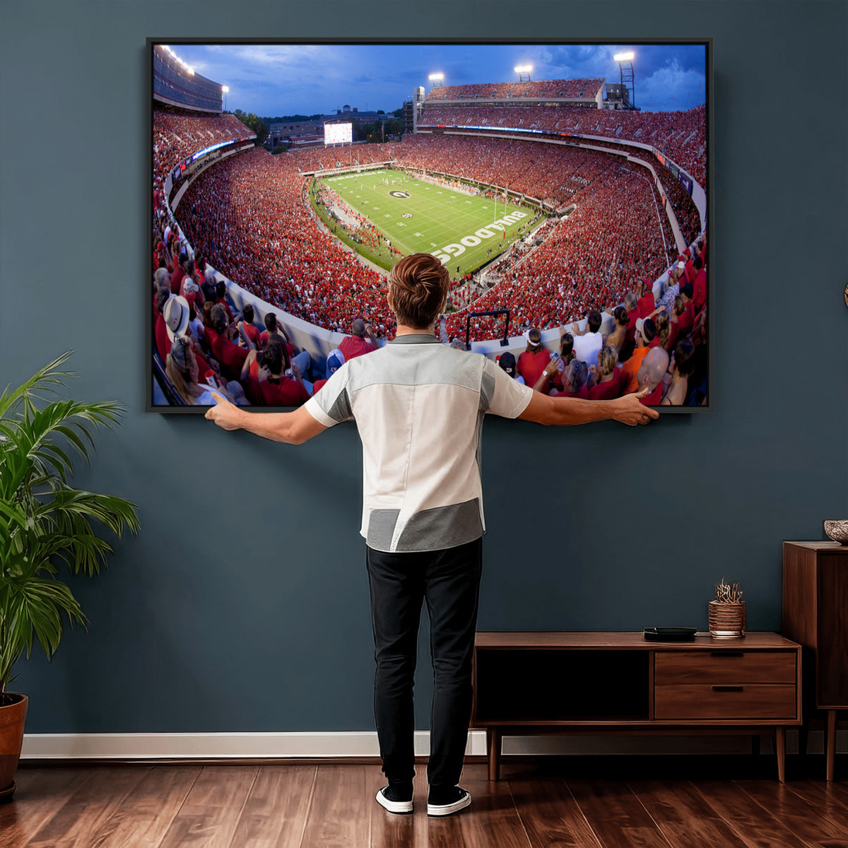 10244378-MGV-CV-36X24 - Dooley Stadium Wall Art, Sports Arena Canvas Print, Dooley Field, Home Bar Wall Decor