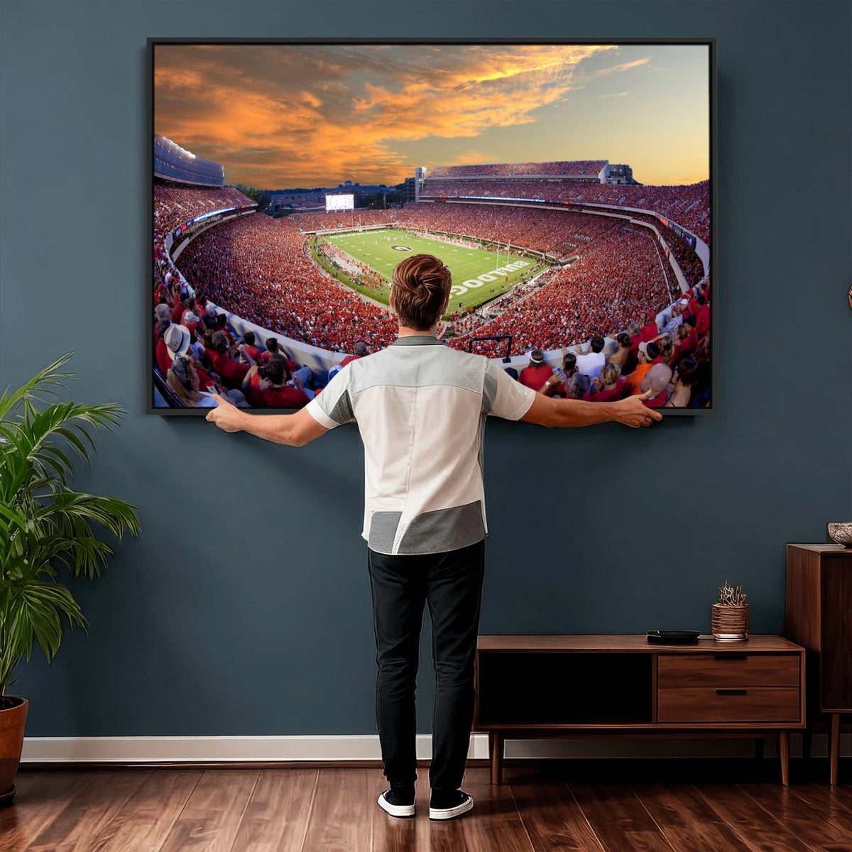 73680988-MGV-CV-36X24 - Dooley Stadium Wall Art, Sports Arena Canvas Print, Dooley Field, Framed and Ready to Hang