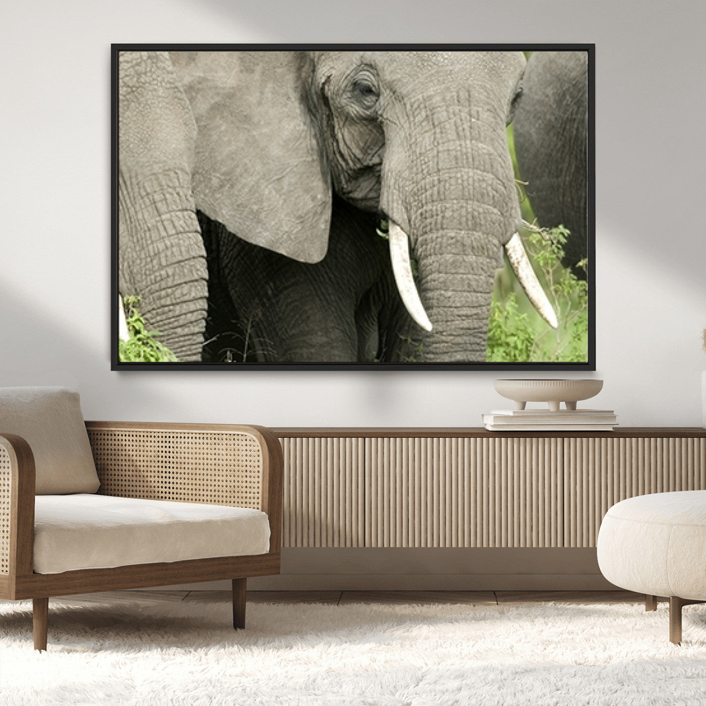 MGV-FC-36X24 - Wild Elephant Wall Art Canvas Print