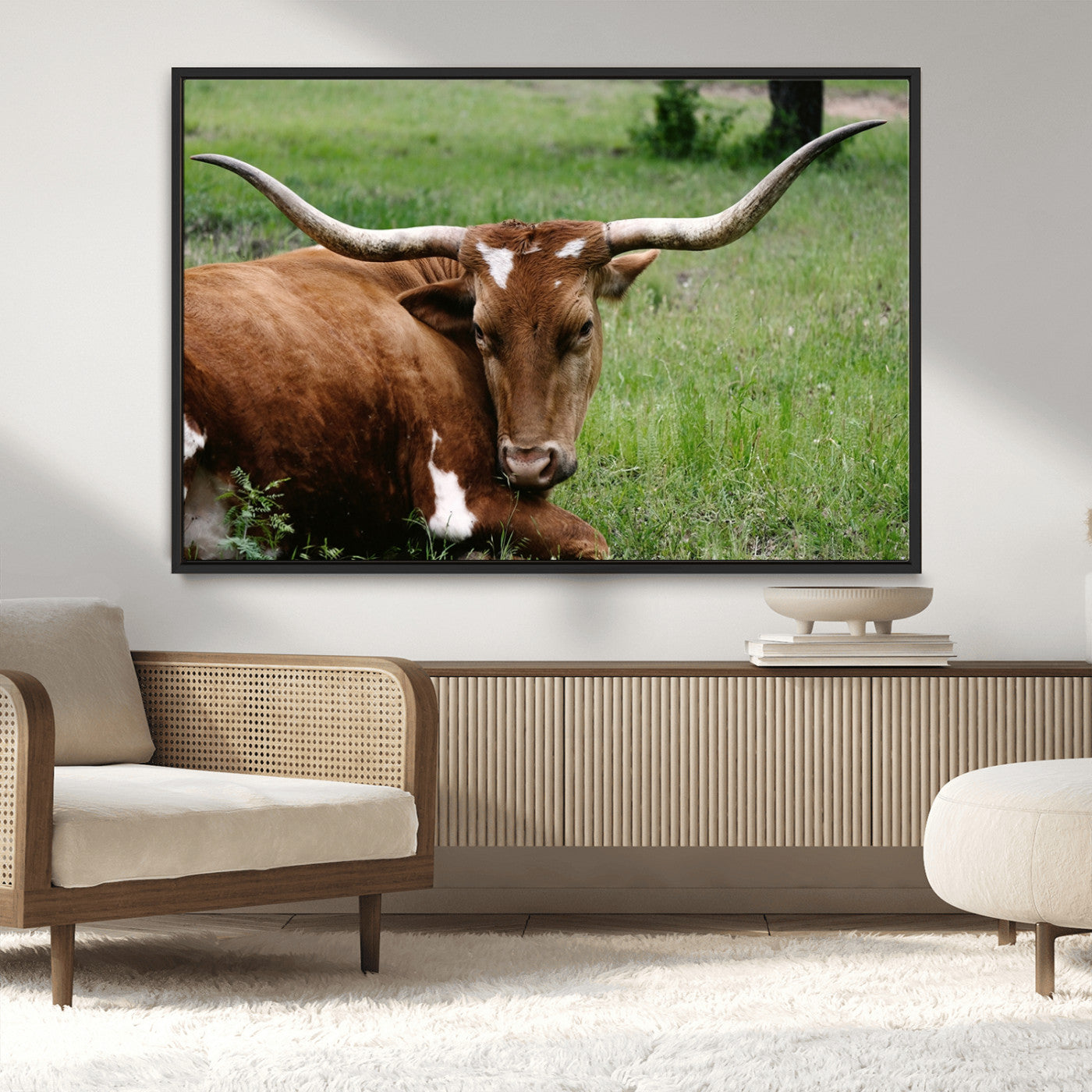 MGV-FC-36X24 - Longhorn Cow Animal Wall Art Canvas Print