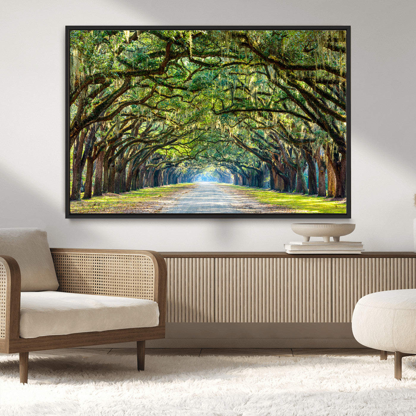 MGV-FC-36X24 - Wormsloe State Plantation Driveway Wall Art Canvas Print