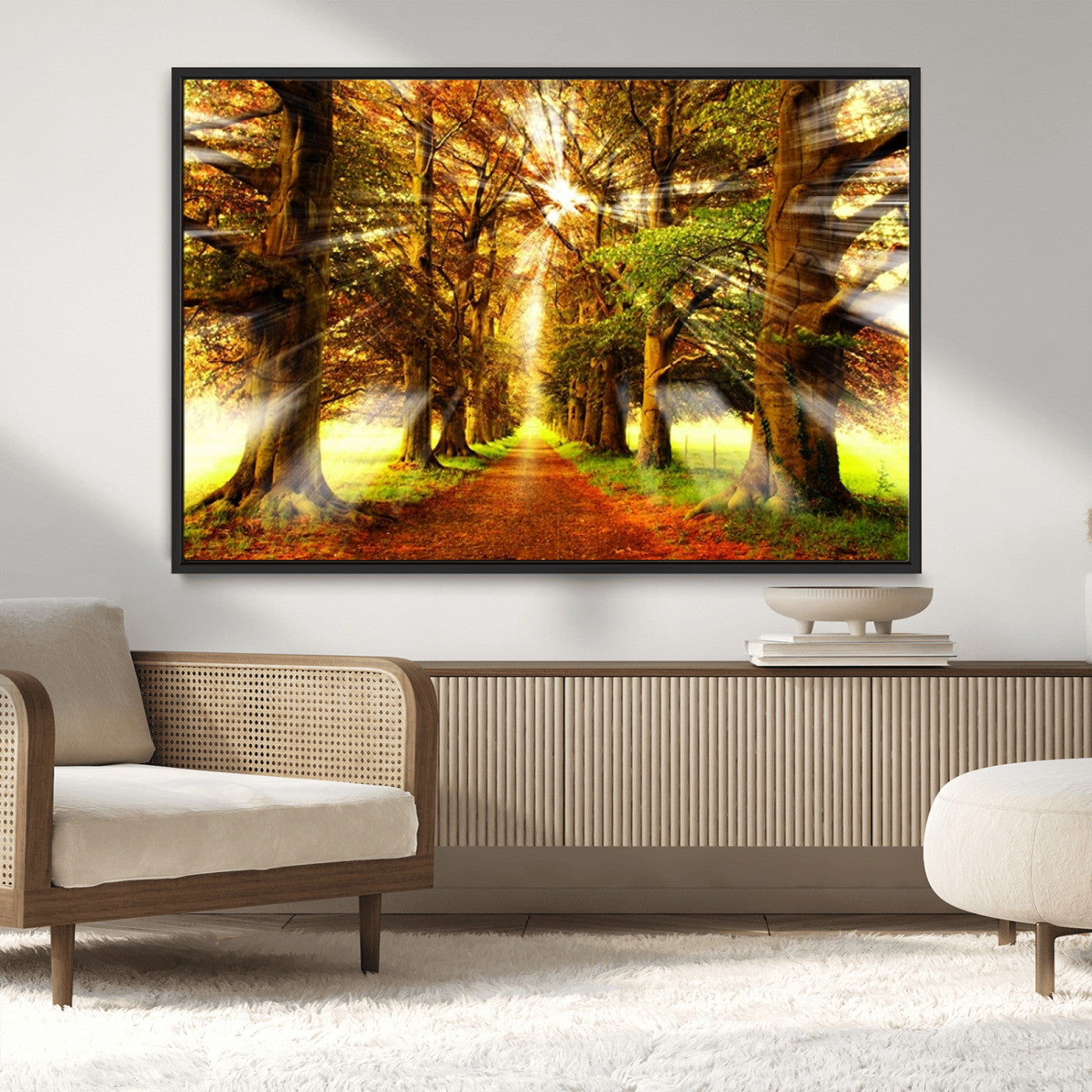 MGV-FC-36X24 - Sunshine in Forest and Trees Wall Art Canvas Print