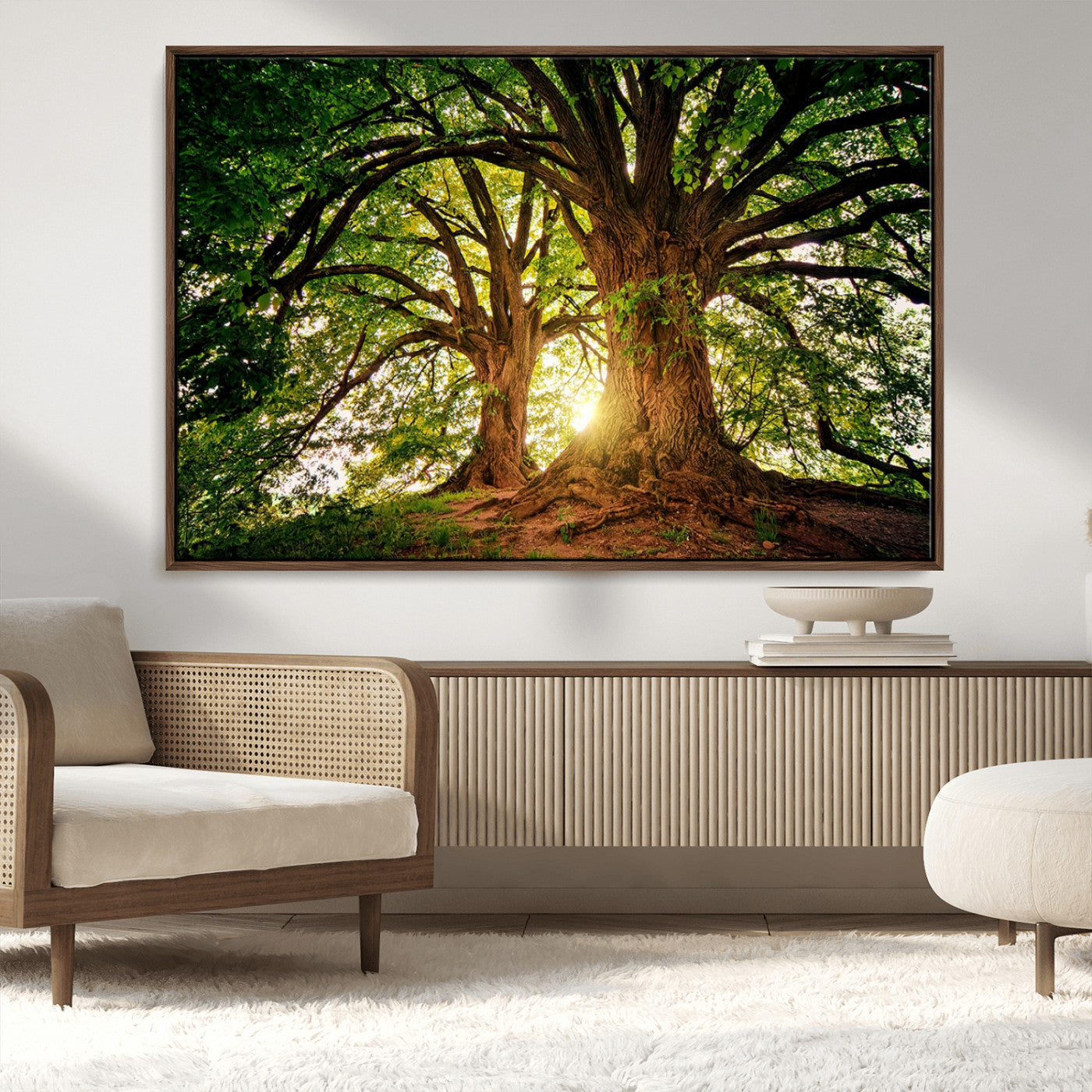 MGV-FC-36X24 - Majestic Ancient Tree Wall Art, Nature-Inspired Canvas Print, Woodland Art, Tree of Life Artwork, Sunlit Forest, Giclee Nature Print