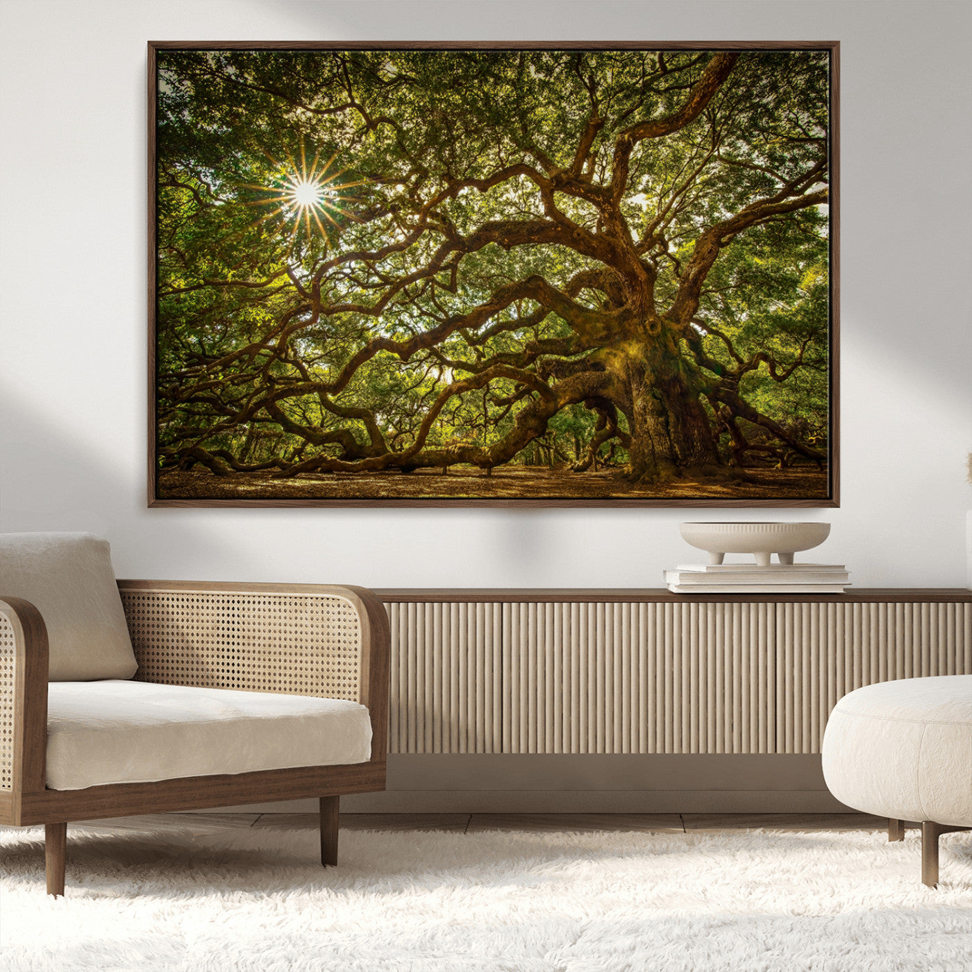 MGV-FC-36X24 - Ancient Angel Oak Tree Art Sunburst Canvas Print- Nature-Inspired Triptych Canvas Print, Framed, Ready to Hang