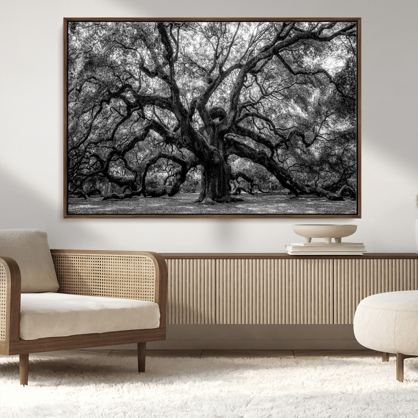 MGV-FC-36X24 - Black and White Old Angel Oak Tree Wall Art Canvas Print