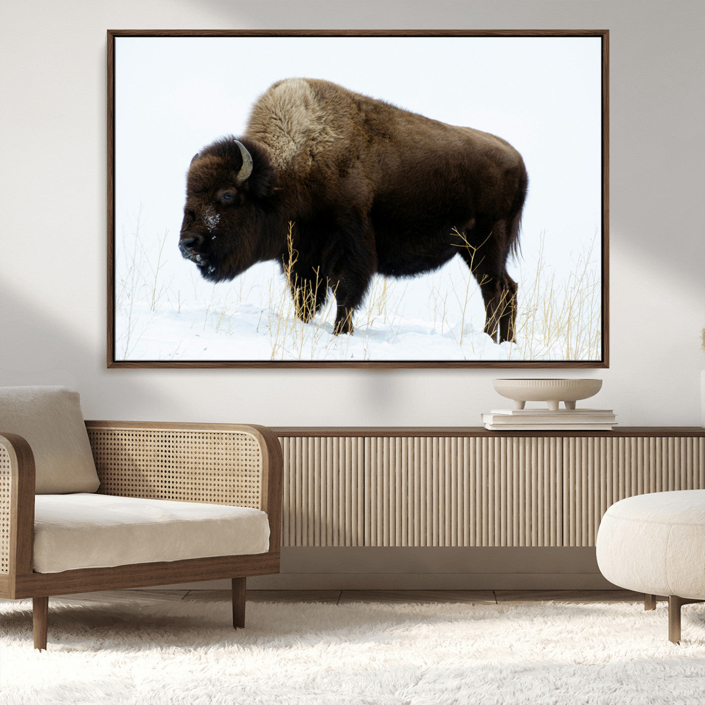MGV-FC-36X24 - Bison Photography Wall Art Canvas Print, Framed Western Wildlife Art Picture Print, Buffalo On Snow Perfect Western Decor Artwork