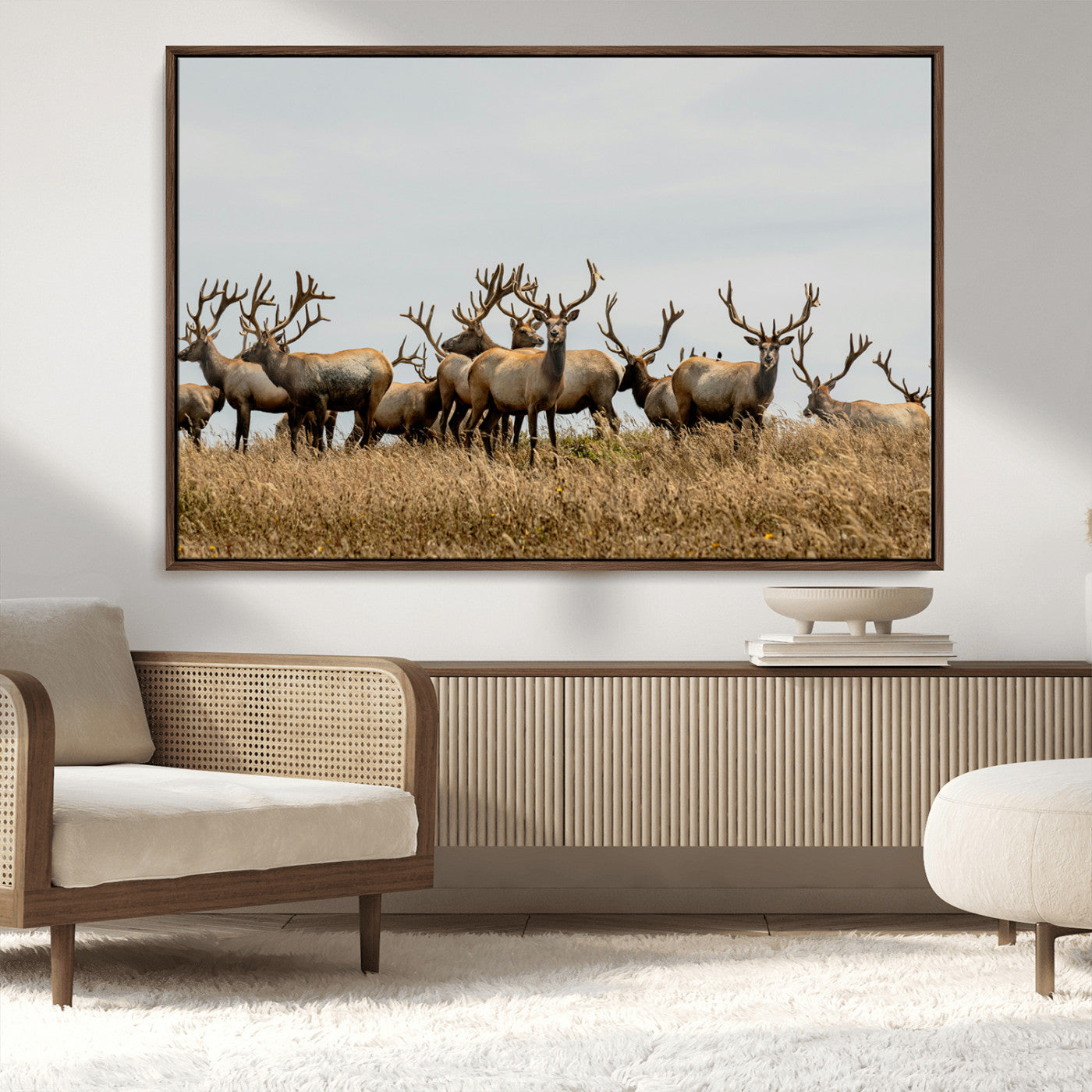 MGV-FC-36X24 - Elk Herd Wall Art Canvas Print, Framed Wildlife Photography Art Picture Print, Majestic Antlers Perfect Rustic Wildlife Decor Artwork