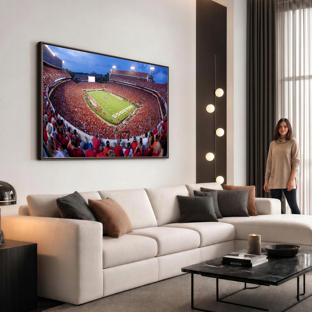 10244378-MGV-CV-36X24 - Dooley Stadium Wall Art, Sports Arena Canvas Print, Dooley Field, Home Bar Wall Decor