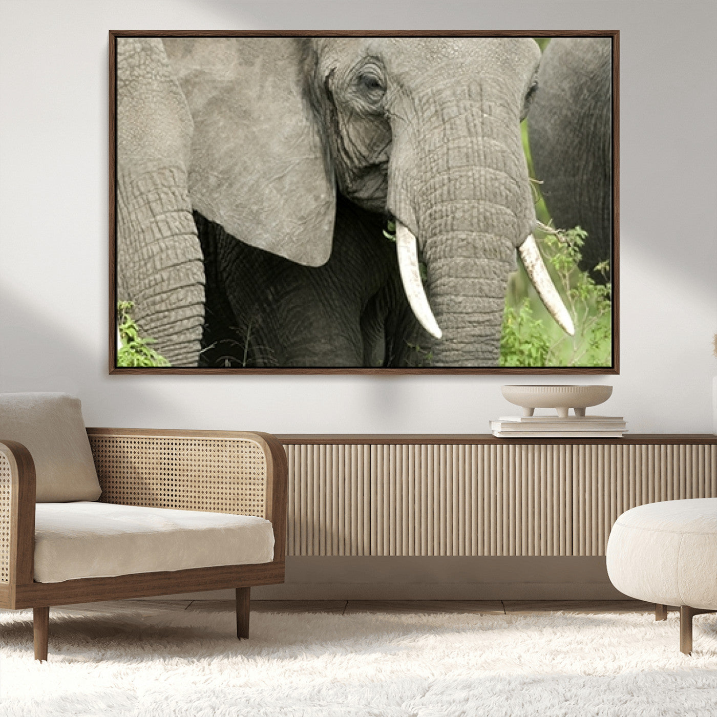 MGV-FC-36X24 - Wild Elephant Wall Art Canvas Print