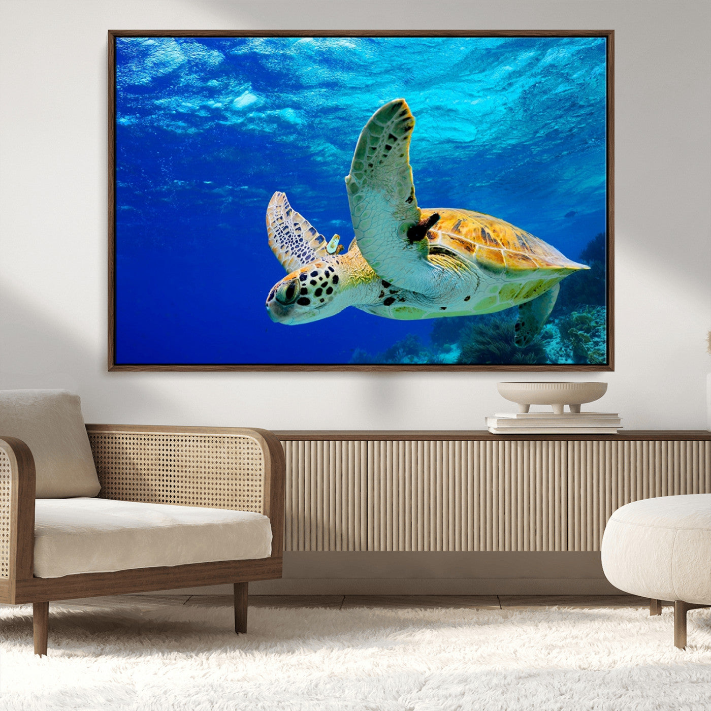 16292-MGV-FC-36X24_Walnut-Sea Turtle Wall Art Canvas Print, Sea life in the Ocean Wall Art Printing