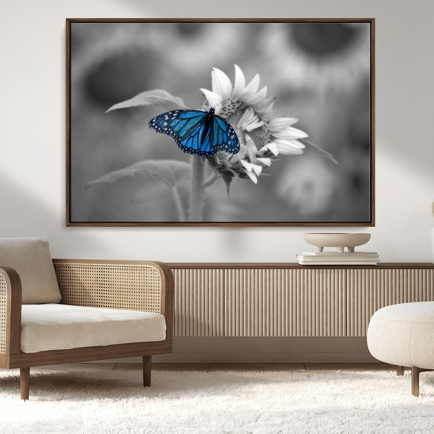 MGV-FC-36X24 - Blue Butterfly Black and White Canvas Wall Art