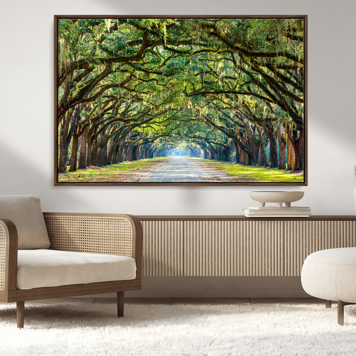 MGV-FC-36X24 - Wormsloe State Plantation Driveway Wall Art Canvas Print