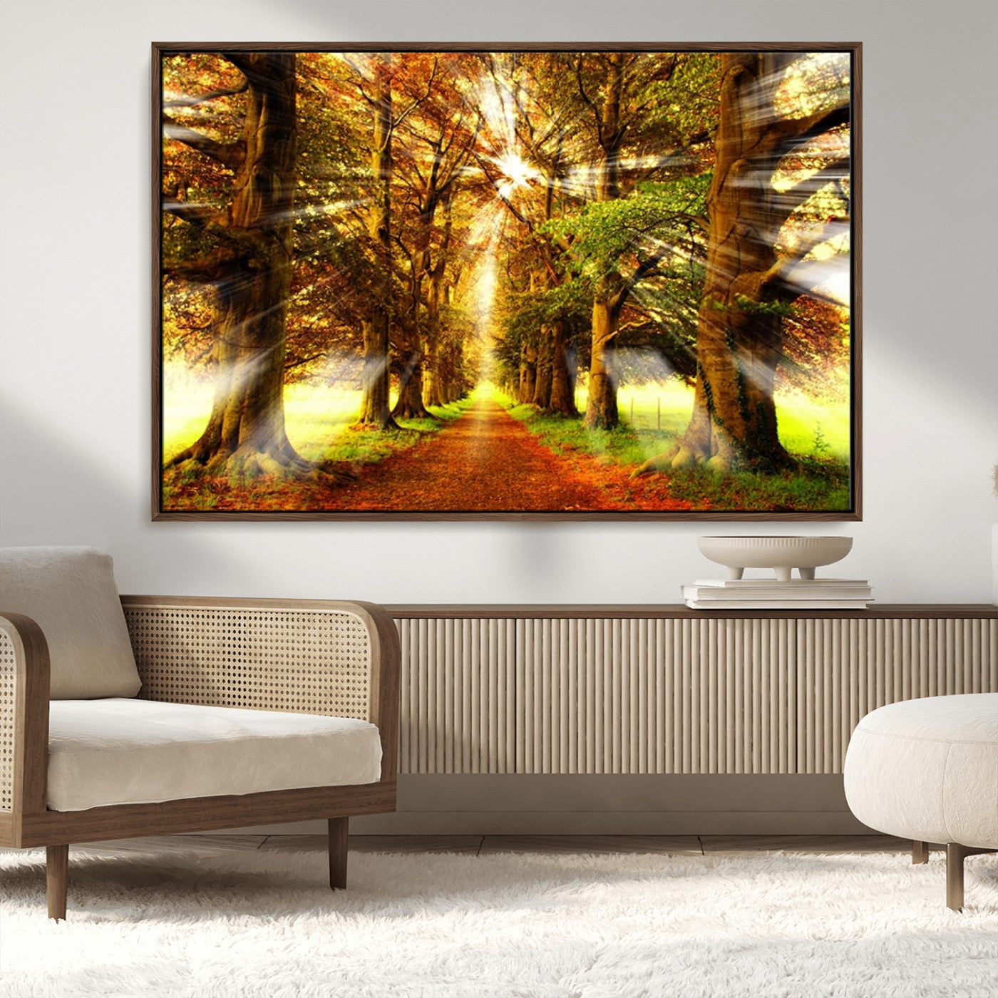 MGV-FC-36X24 - Sunshine in Forest and Trees Wall Art Canvas Print