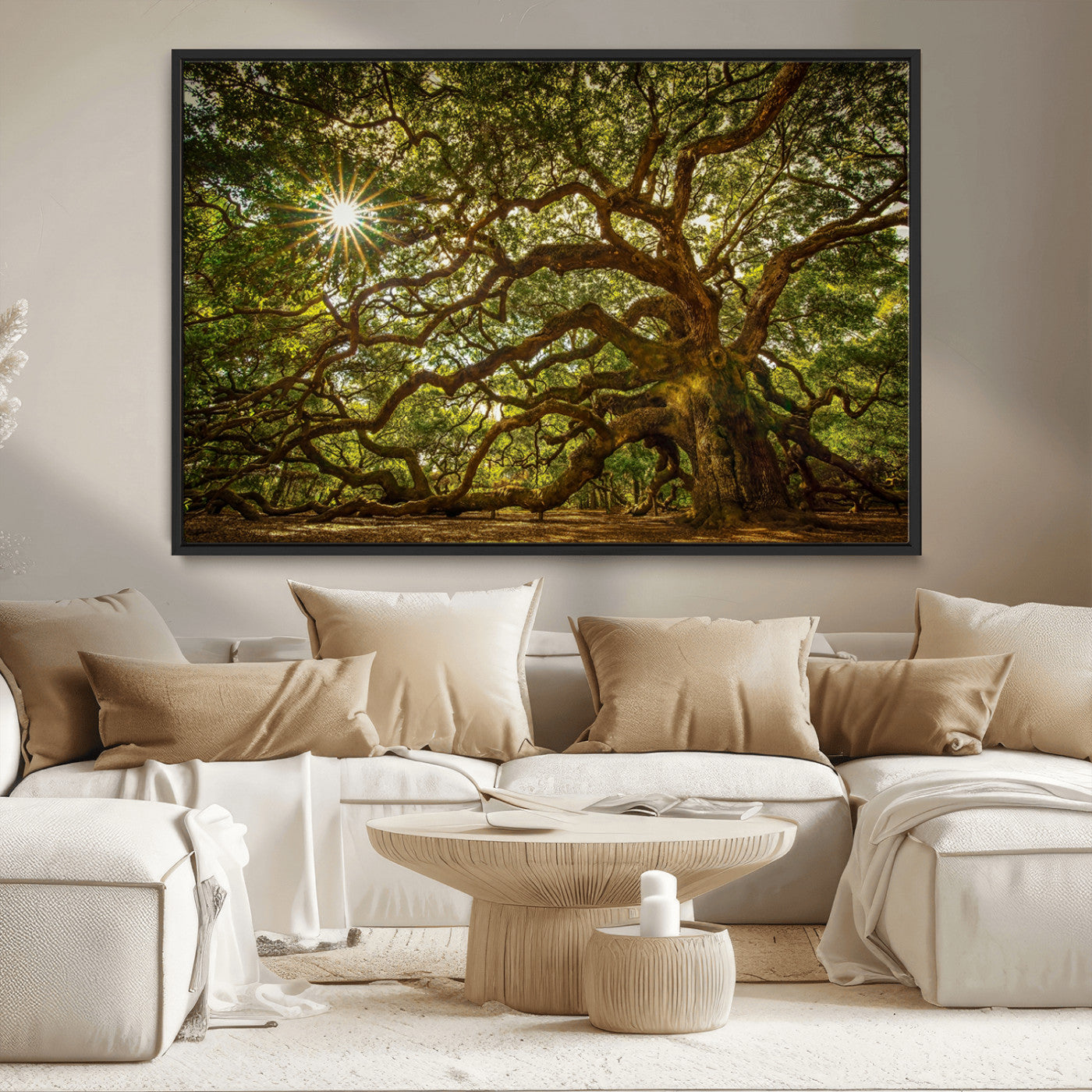 MGV-FC-36X24 - Ancient Angel Oak Tree Art Sunburst Canvas Print- Nature-Inspired Triptych Canvas Print, Framed, Ready to Hang