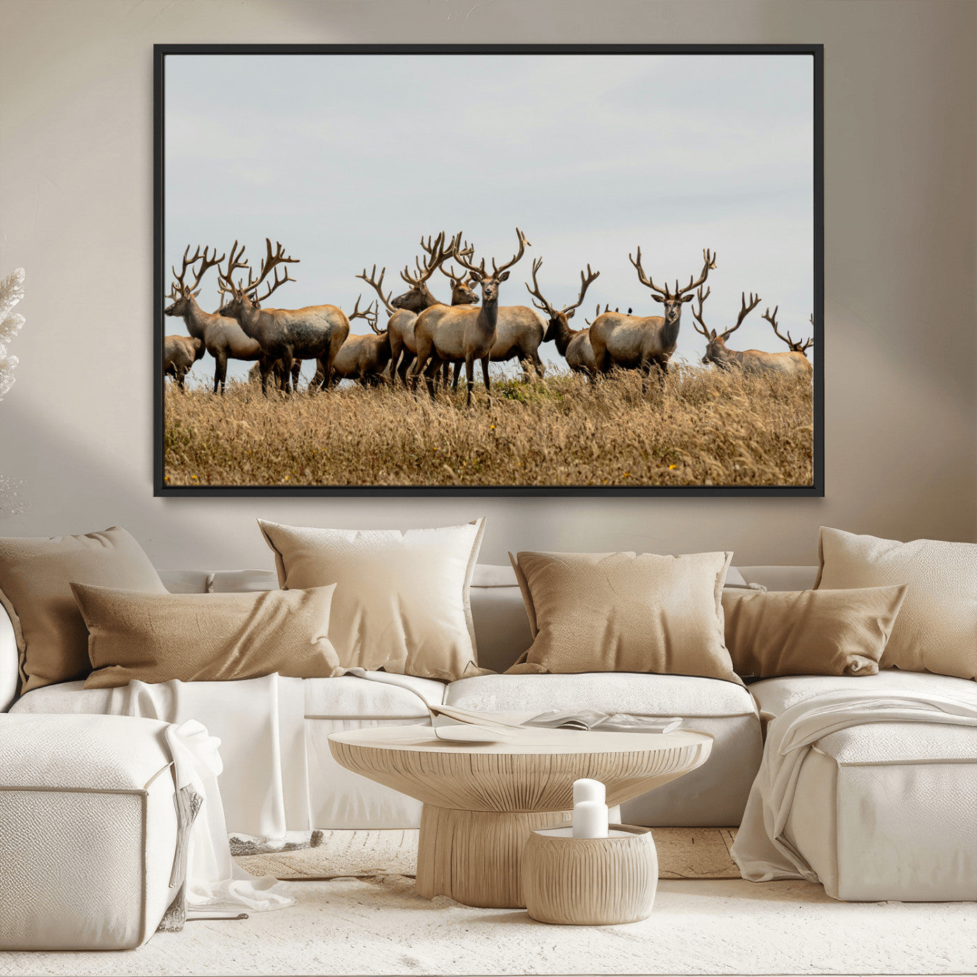 MGV-FC-36X24 - Elk Herd Wall Art Canvas Print, Framed Wildlife Photography Art Picture Print, Majestic Antlers Perfect Rustic Wildlife Decor Artwork