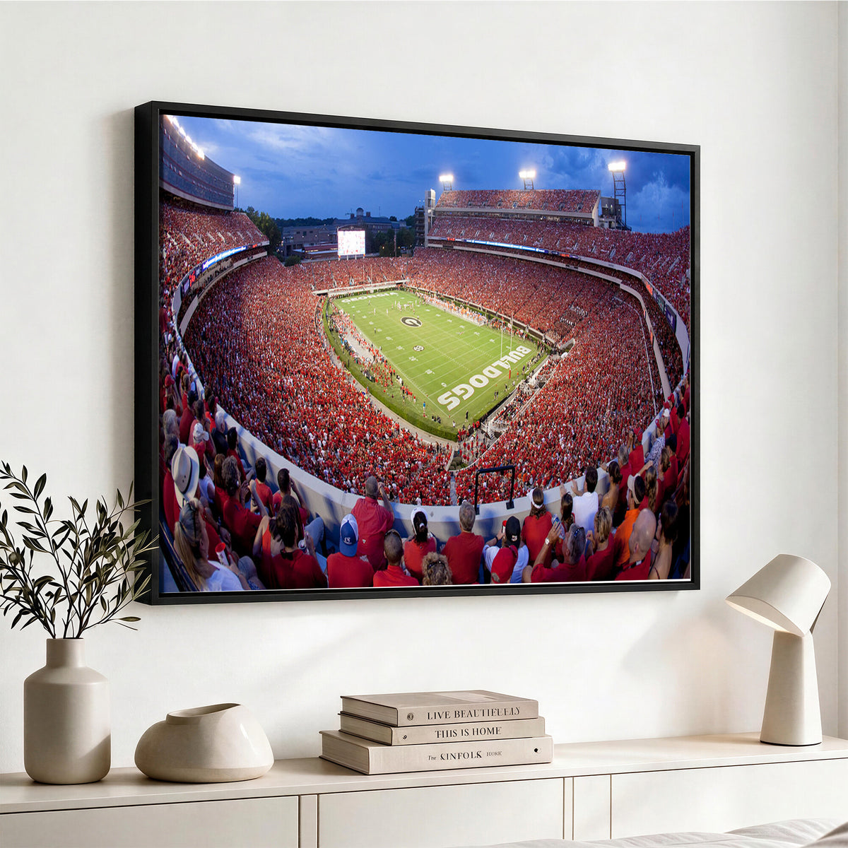 10244378-MGV-CV-36X24 - Dooley Stadium Wall Art, Sports Arena Canvas Print, Dooley Field, Home Bar Wall Decor