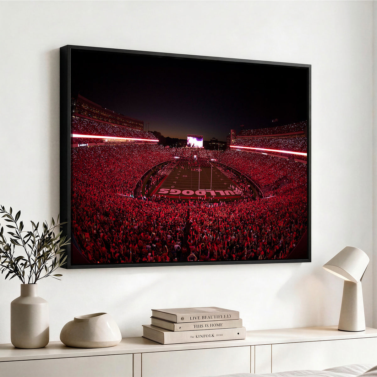 38331045-MGV-CV-36X24 - Dooley Stadium Wall Art, Sports Arena Canvas Print, Dooley Field Sanford Stadium