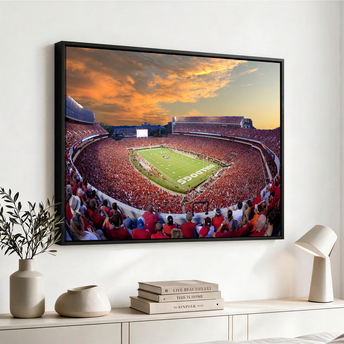 73680988-MGV-CV-36X24 - Dooley Stadium Wall Art, Sports Arena Canvas Print, Dooley Field, Framed and Ready to Hang