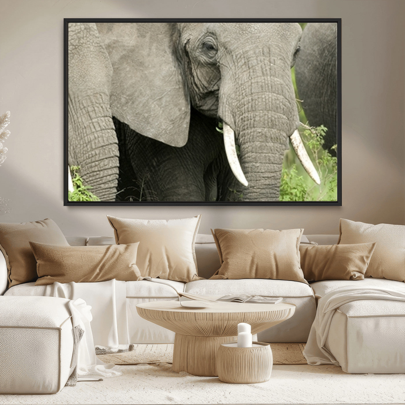 MGV-FC-36X24 - Wild Elephant Wall Art Canvas Print