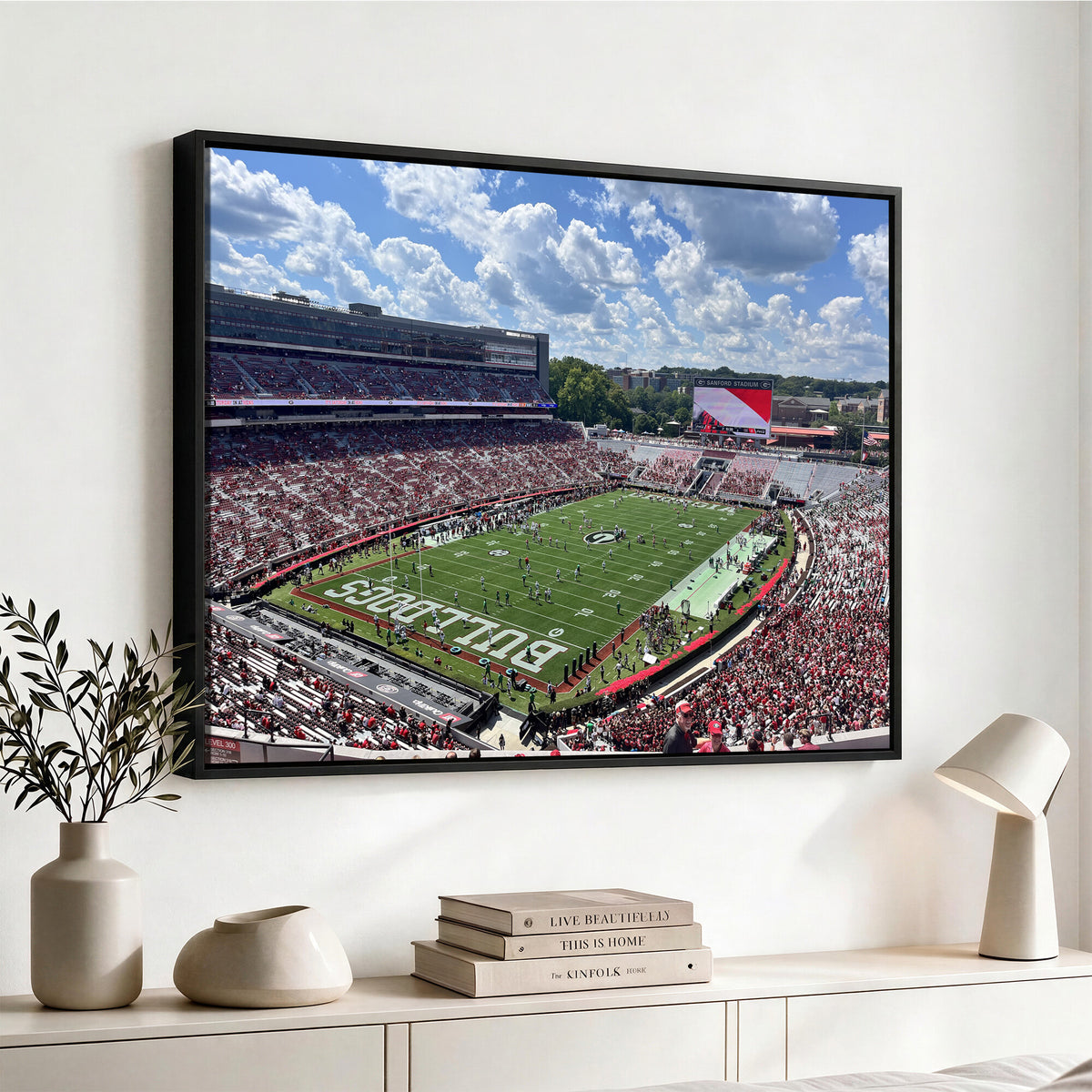 10665453-MGV-CV-36X24 - Georgia Bulldogs Stadium Wall Art Canvas Print, Sanford, Framed and Ready to Hang