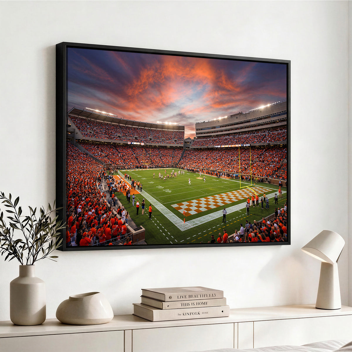 67648335-MGV-CV-36X24 - Stadium Wall Art Canvas Print