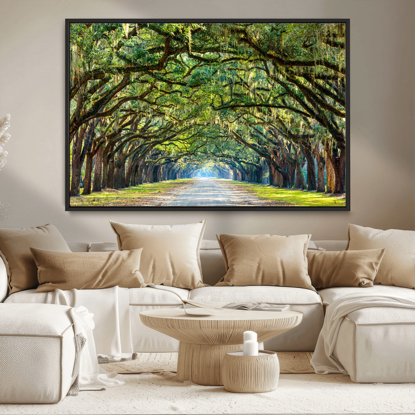MGV-FC-36X24 - Wormsloe State Plantation Driveway Wall Art Canvas Print