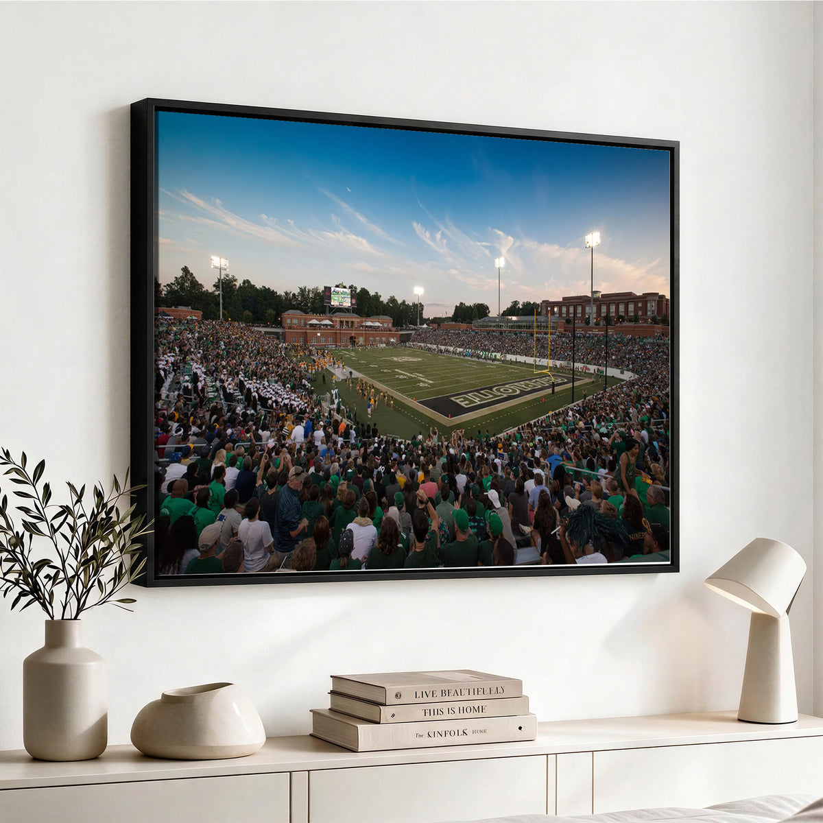 12290-MGV-CV-36X24 - University of Charlotte 49ers Football Team Print - Charlotte Jerry Richardson Stadium Wall Art