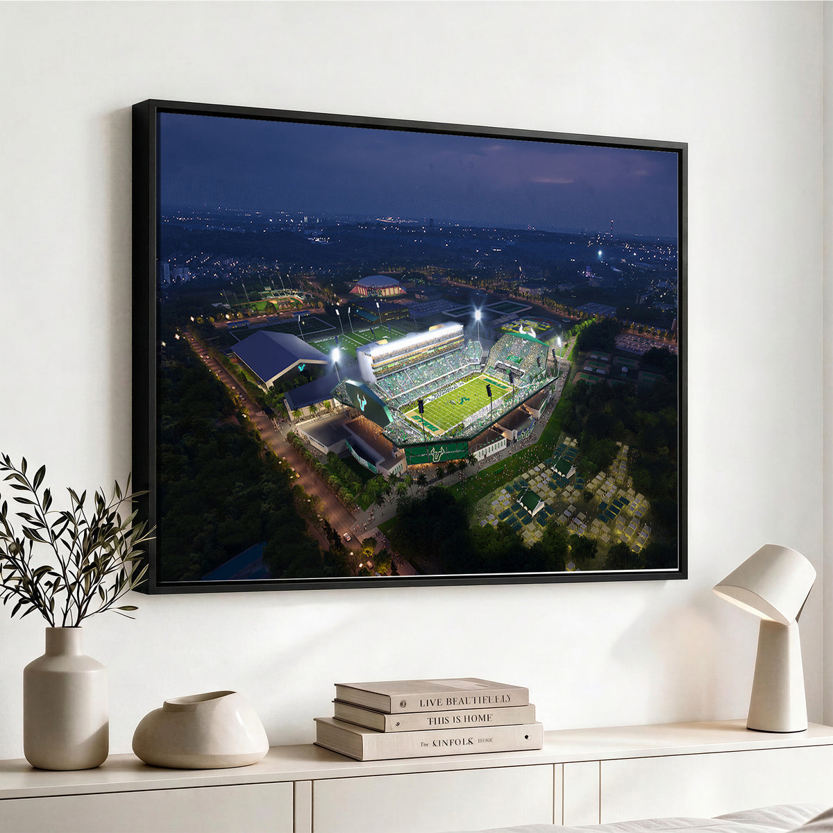 27554-MGV-CV-36X24 - The University of South Florida Bulls Football Team Print
