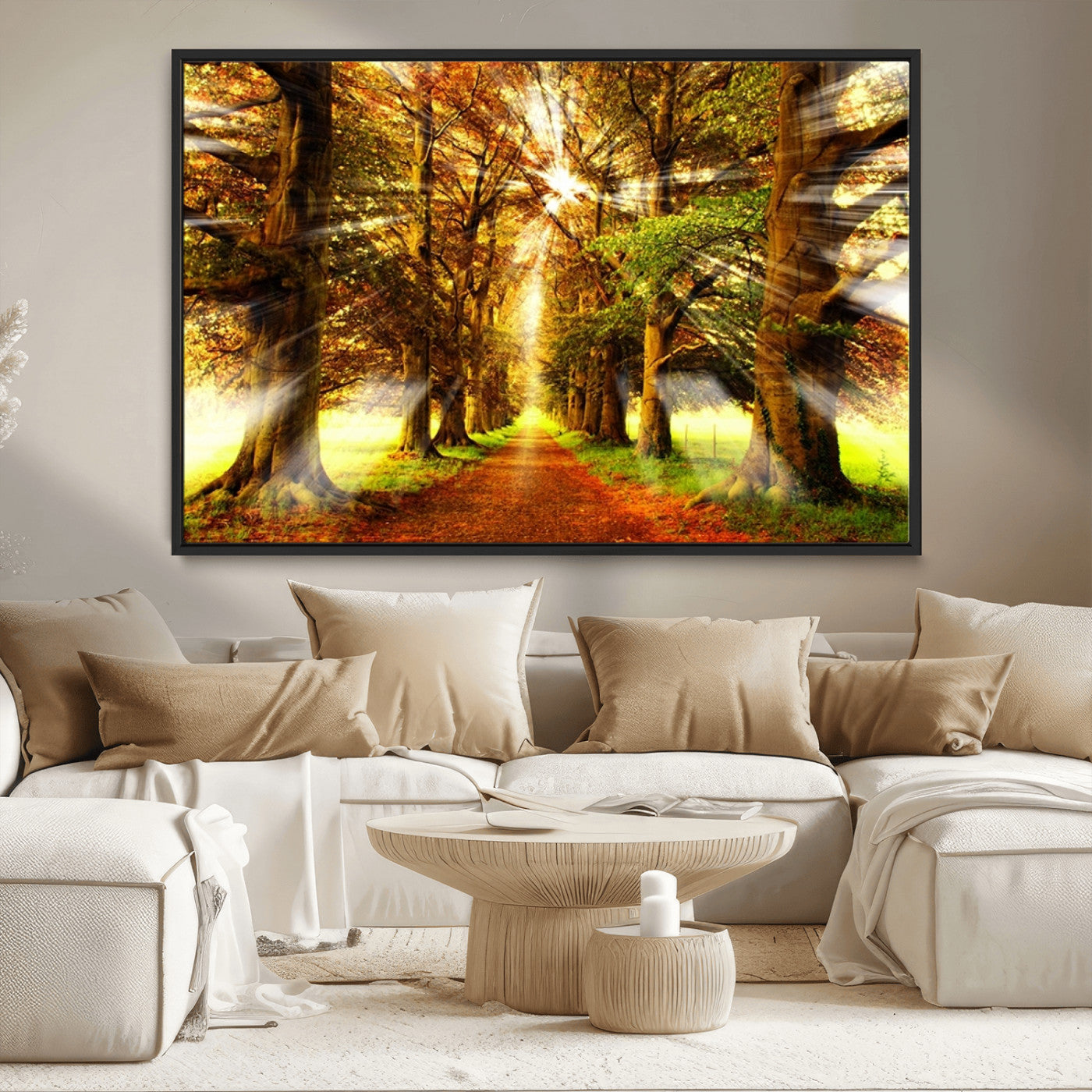 MGV-FC-36X24 - Sunshine in Forest and Trees Wall Art Canvas Print