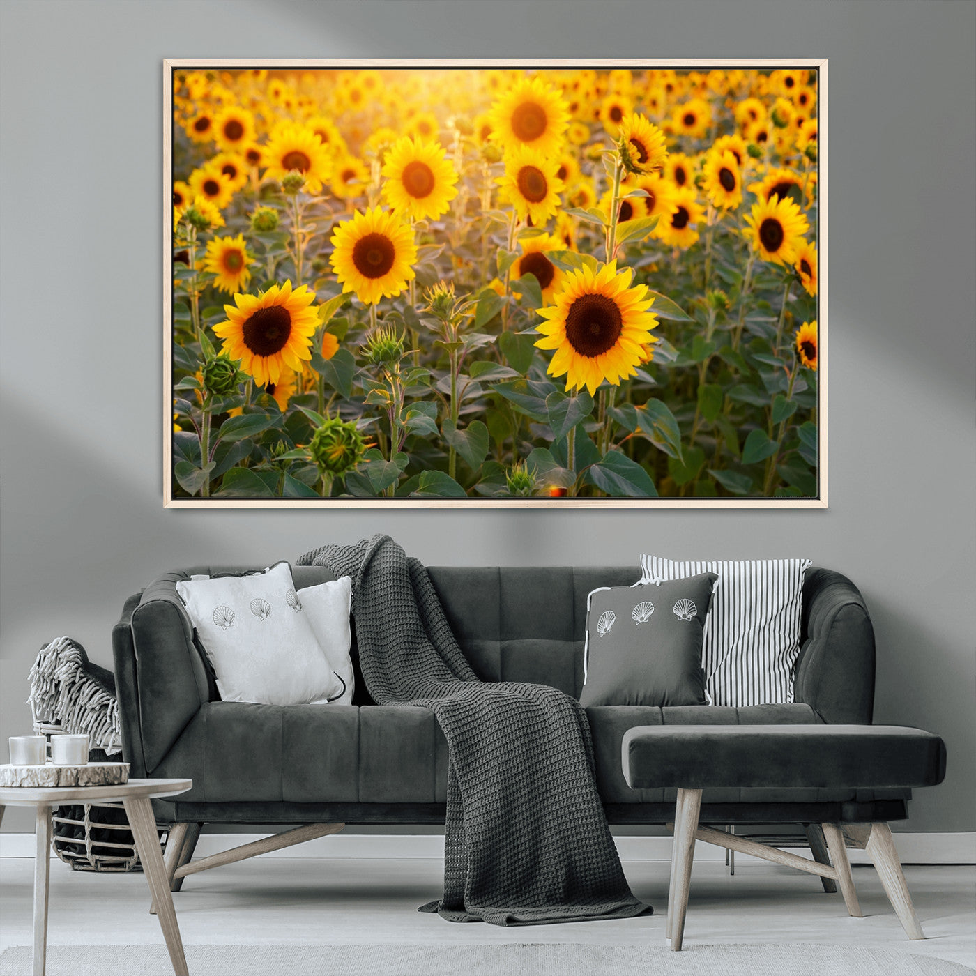 MGV-FC-36X24 - Sunflower Sunshine Wall Art Canvas Print