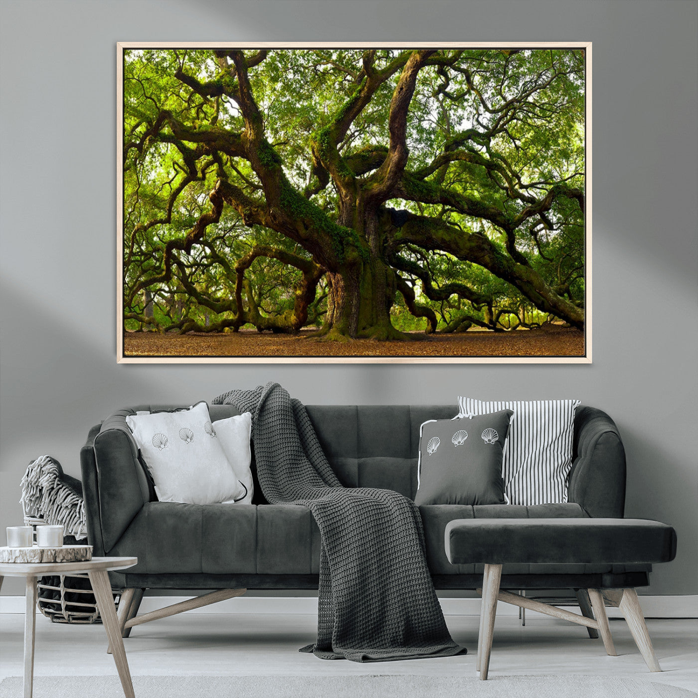 MGV-FC-36X24 - Angel Oak Tree Wall Art Canvas Print | Forest Tree Nature Photography Print on Canvas | Large Triptych Art for Living Room or Office Decor