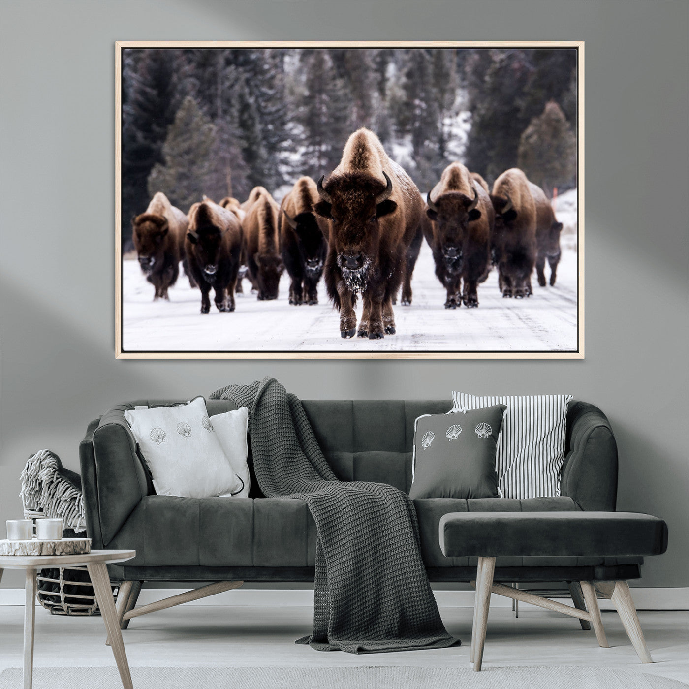 MGV-FC-36X24 - Bison Wall Art Canvas Print- Bison Herd Canvas Wall Art – Majestic Wildlife Photography – Framed and Ready to Hang Nature-Inspired Art - Buffalo Wall Art Print