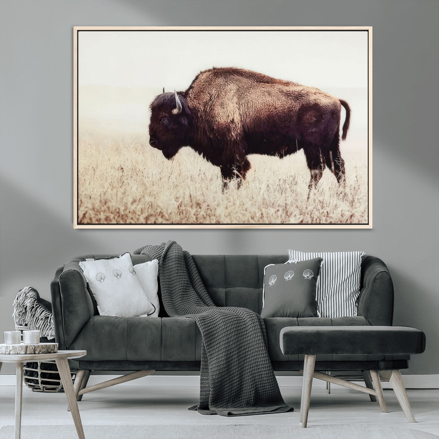 MGV-FC-36X24 - Bison in Field Wall Art Canvas Print For Farmhouse Barn Decor