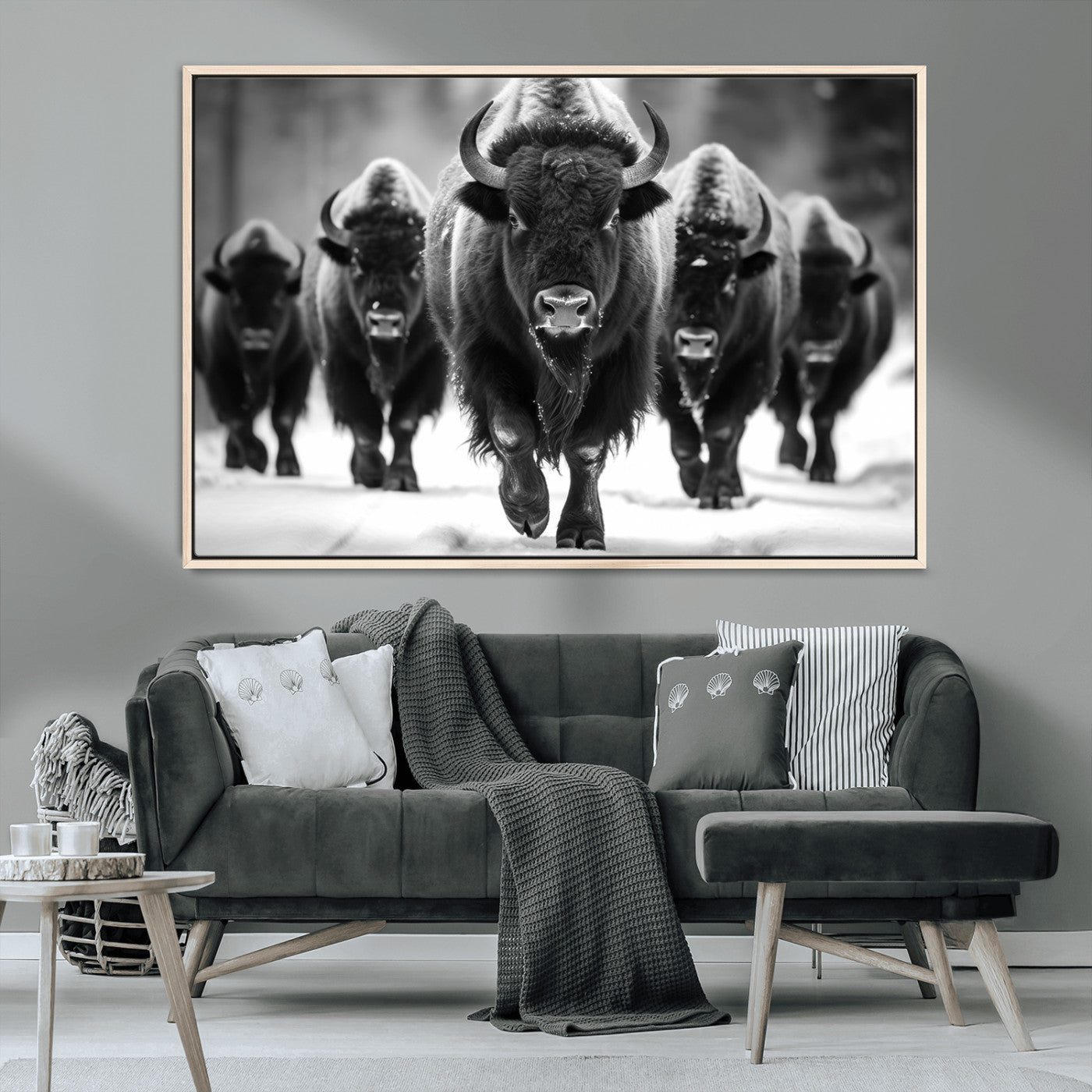 MGV-FC-36X24 - American Bison Art | Buffalo Herd Wall Art Canvas Print, BW American Bison Herd Wall Art Canvas Print